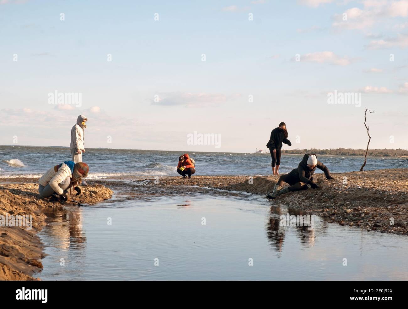 People search for fossils at Calvert Cliffs State Park in Maryland Stock Photo