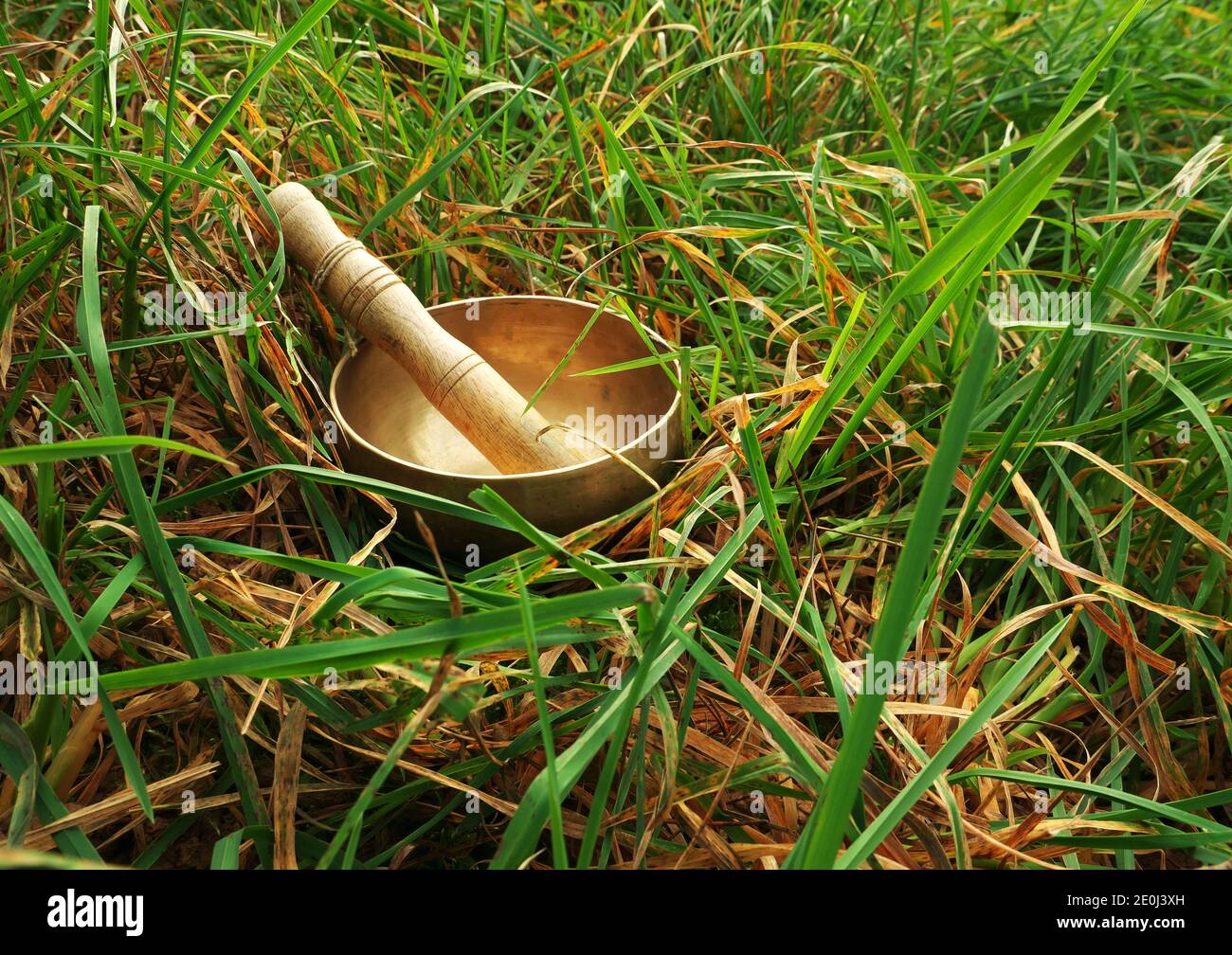 Singing bowl set in the middle of tall grass Stock Photo