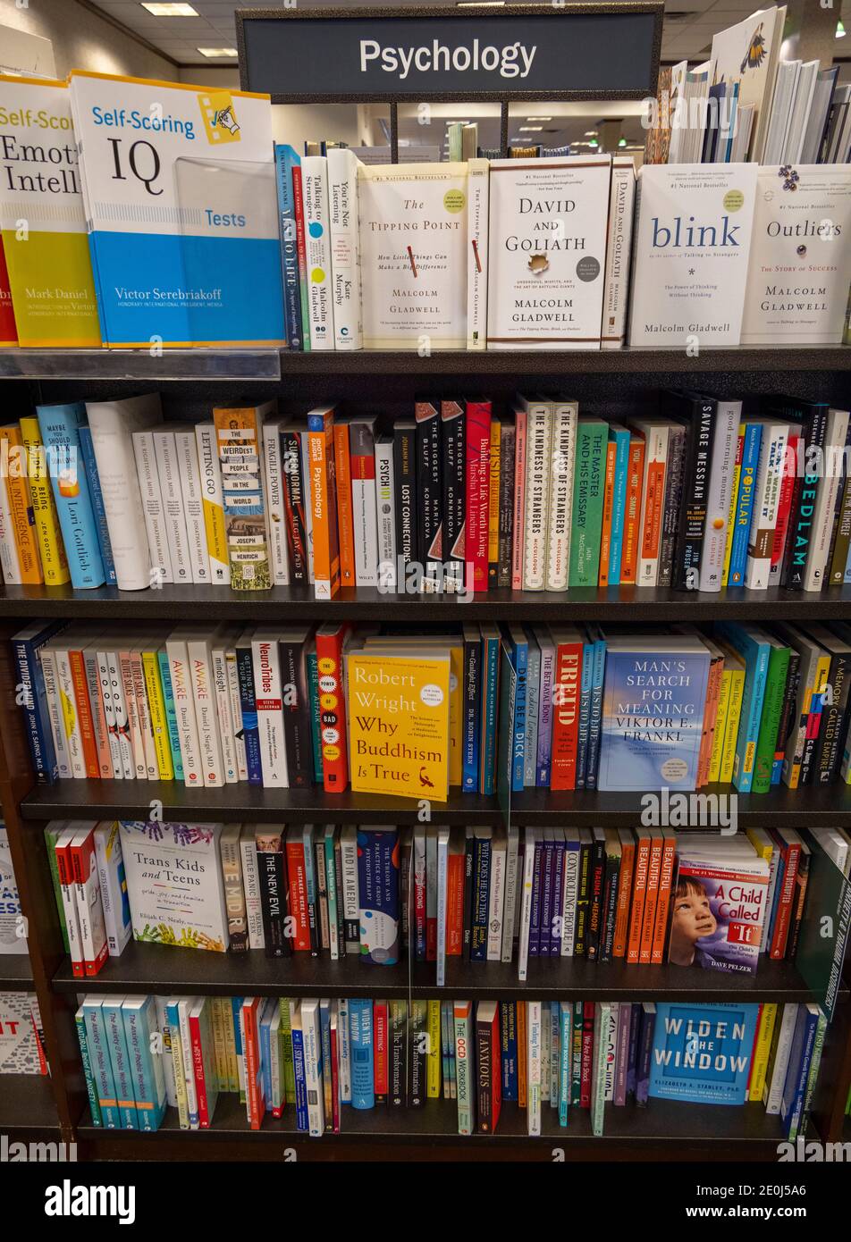 psychology books on sale, Barnes and Noble, USA Stock Photo