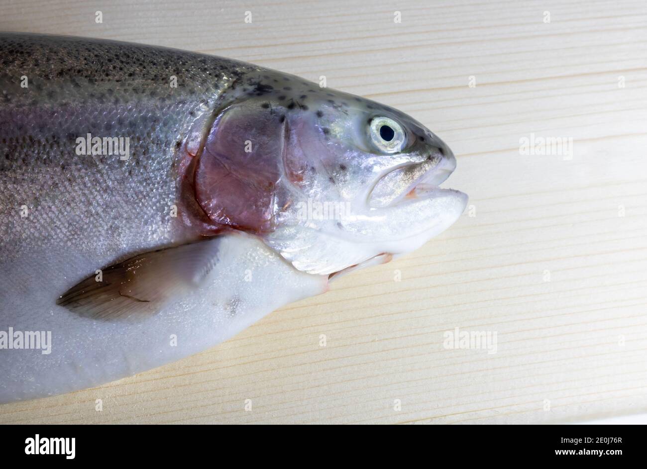 Half fish trout with open mouth on white background Stock Photo Alamy