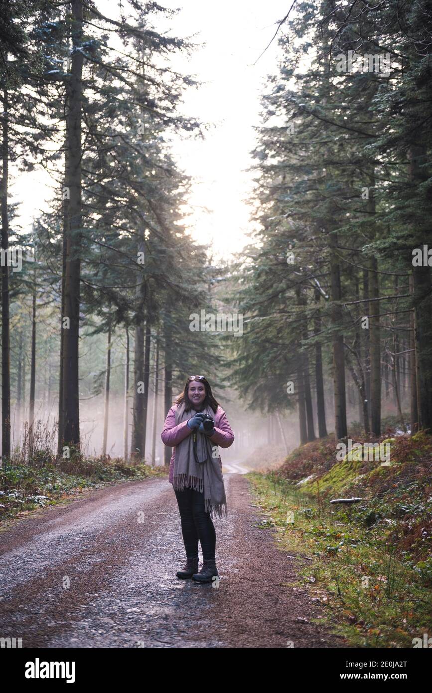 Mountainscapes, Pine Trees in the mist... welsh mountain