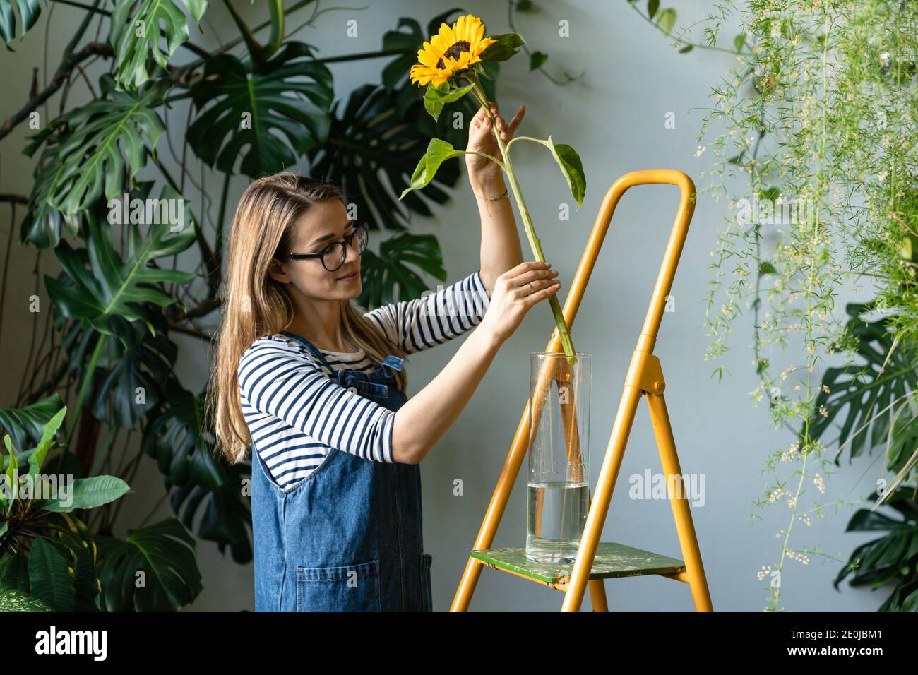 Small business. Florist woman surrounded by tropical plants pulls out a single flower of sunflower from a vase to cut the stem with scissors, standing Stock Photo