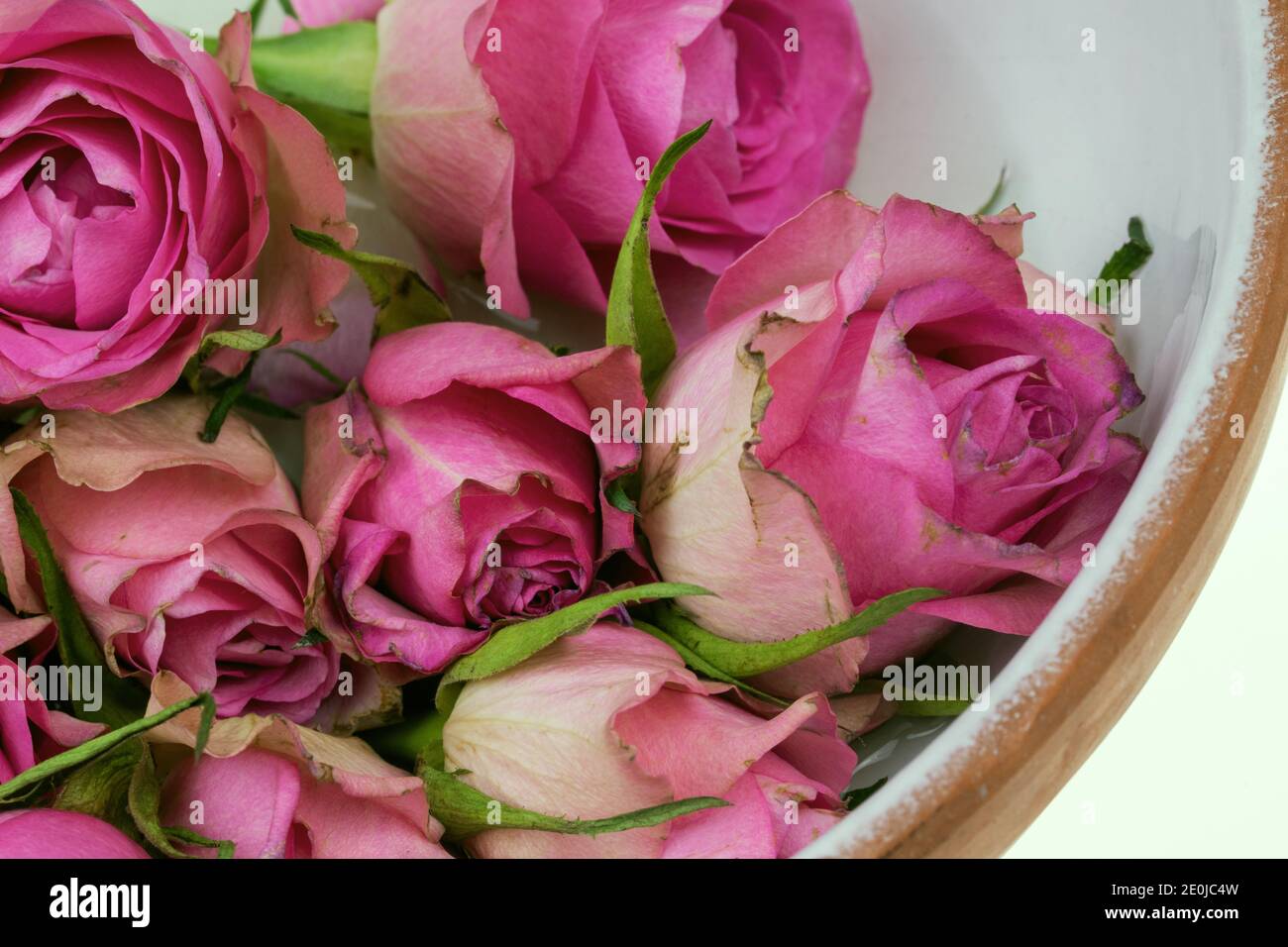 Roses a present for Valentine's Day and also for a birthday. Stock Photo