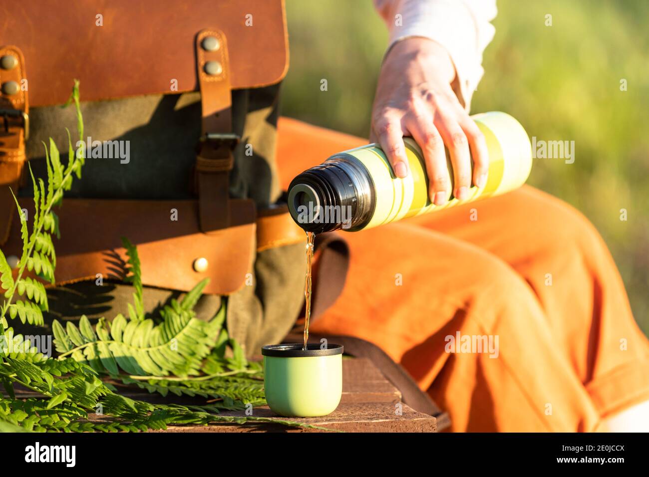 Woman with backpack sitting on wooden path through peat bog swamp in wildlife national park. Naturalist resting on boardwalk, drinking tea, enjoying t Stock Photo