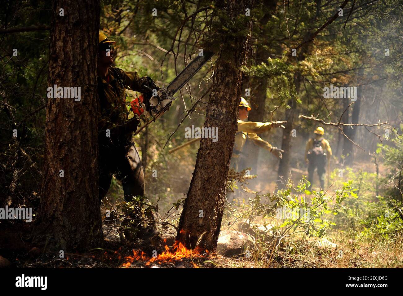 Vandenberg Air Force Base Hot Shot fire fighter Brad Mabery cuts a tree with his chainsaw while cutting and clearing a fire line on June 28, 2012 in the Mount Saint Francois area of Colorado Springs, Co. His team is helping to battle several fires in Waldo Canyon. The Waldo Canyon fire has grown to 18,500 acres and burned over 300 homes. Currently, more than 90 firefighters from the Academy, along with assets from Air Force Space Command; F.E. Warren Air Force Base, Wyo.; Fort Carson, Colo.; and the local community continue to fight the Waldo Canyon fire. Photo by U.S. Air Force via ABACAPRESS Stock Photo