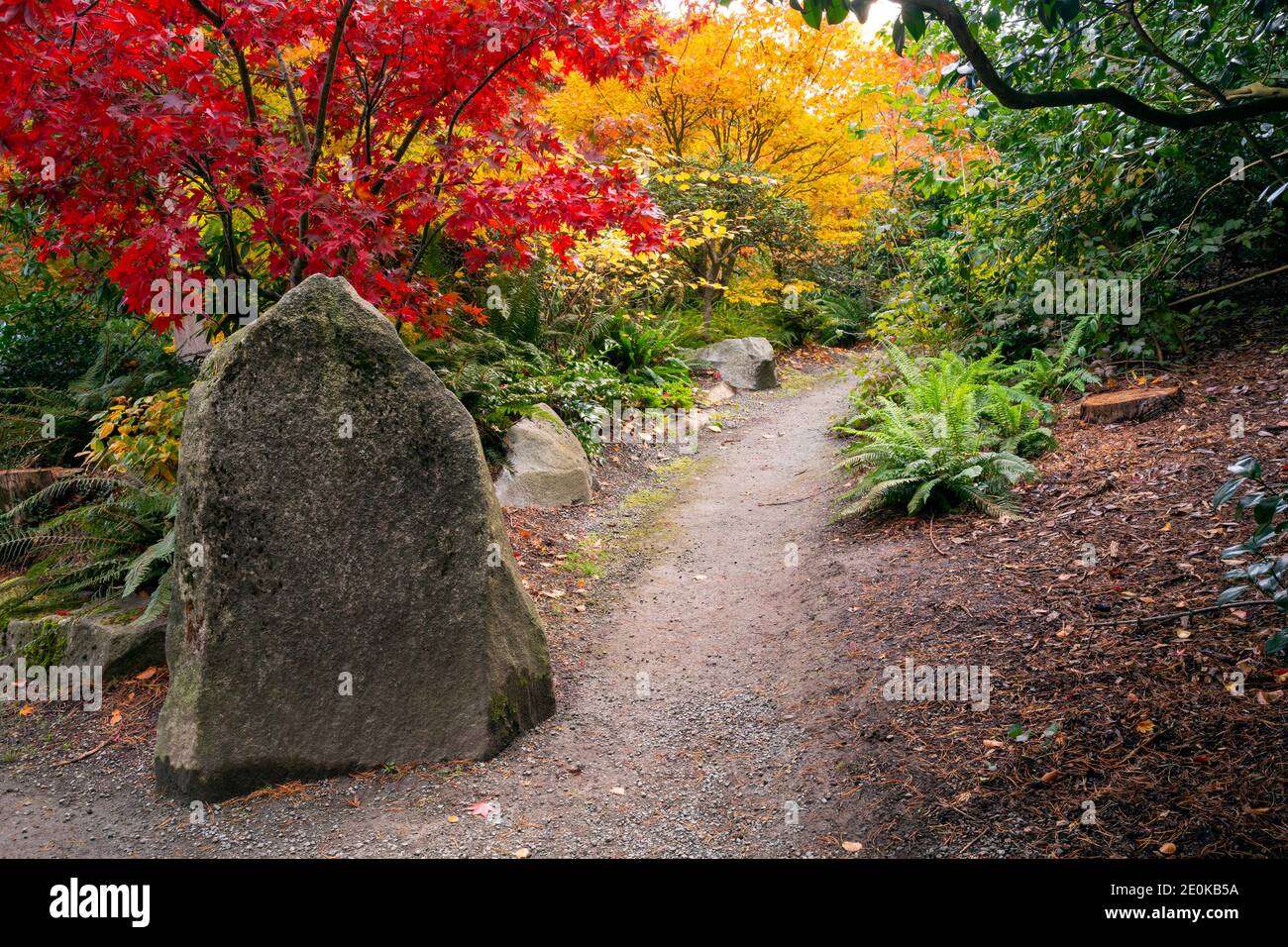 WA18944-00...WASHINGTON - Autunm at Kabota Garden, a Seattle city park. Stock Photo