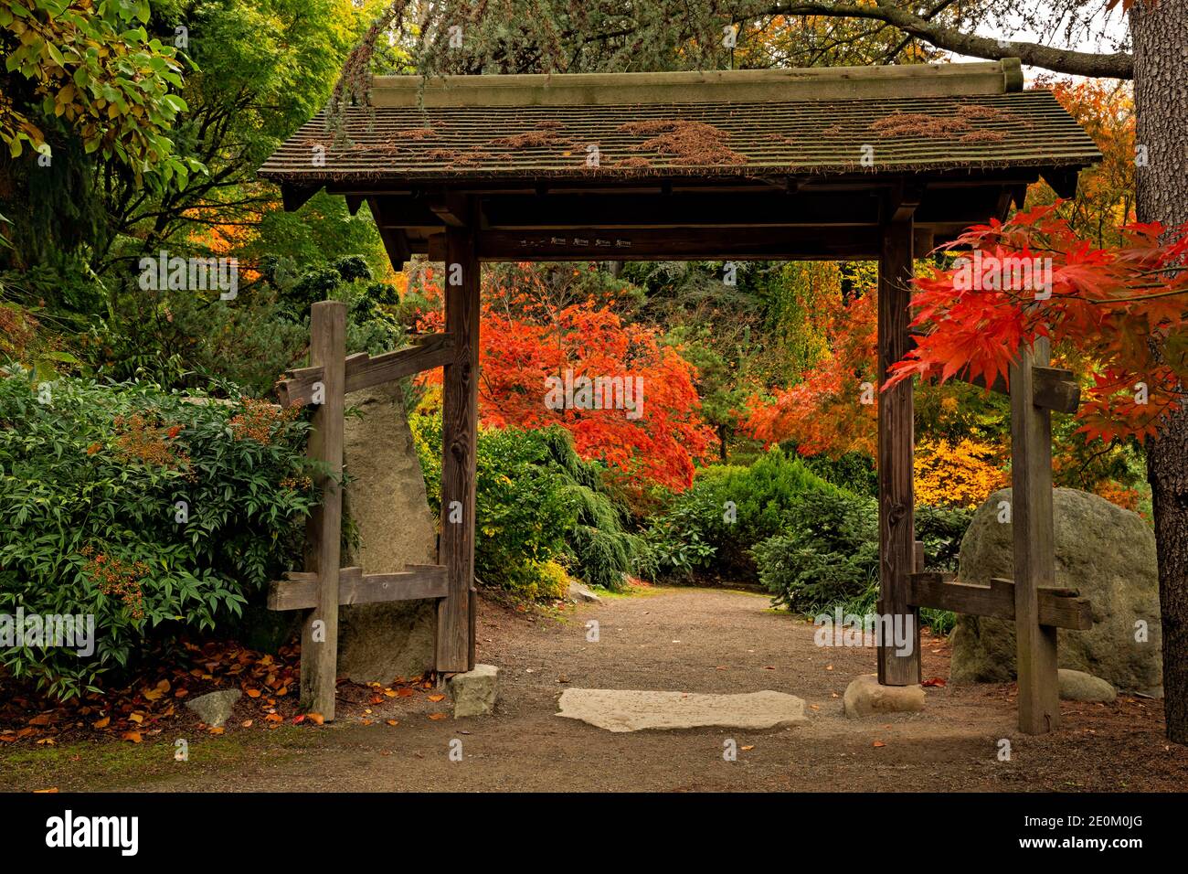 WA18966-00...WASHINGTON - Inside the entrance to the Stone Garden at Kabota Gardens Park in Seattle. Stock Photo