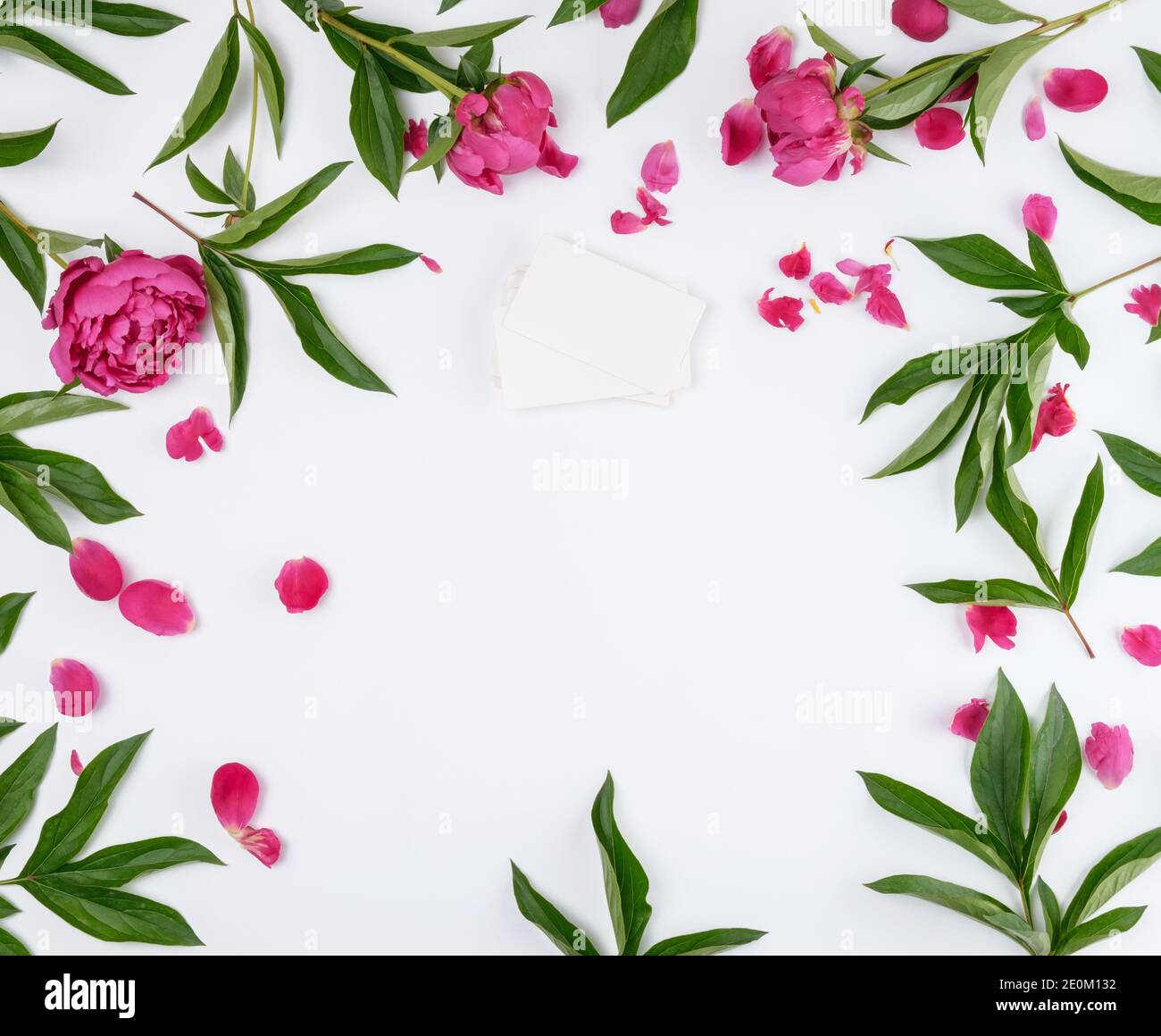 stack of rectangular blank paper business cards and red blooming peonies  with green leaves a white background, empty space in the middle, top view  Stock Photo - Alamy