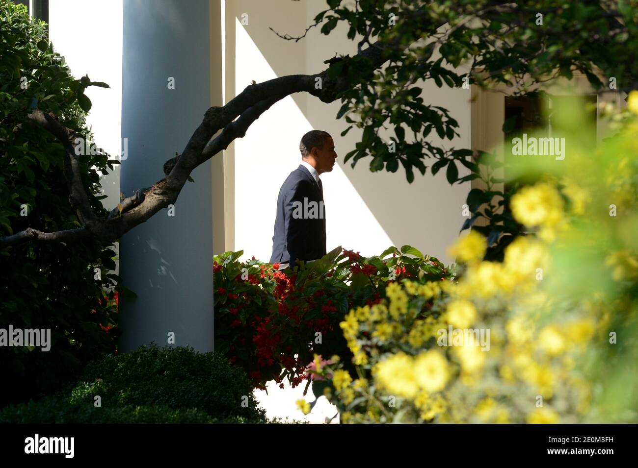 US President Barack Obama walks to the Oval Office after returning from a visit to the State Department, at the White House in Washington DC, USA on September 12, 2012. Gunmen attacked the US consulate in Benghazi, killing US ambassador to Libya, Christopher Stevens, late 11 September 2012, while another assault took place on the US embassy in Cairo. Photo by Michael Reynolds/Pool/ABACAPRESS.COM Stock Photo