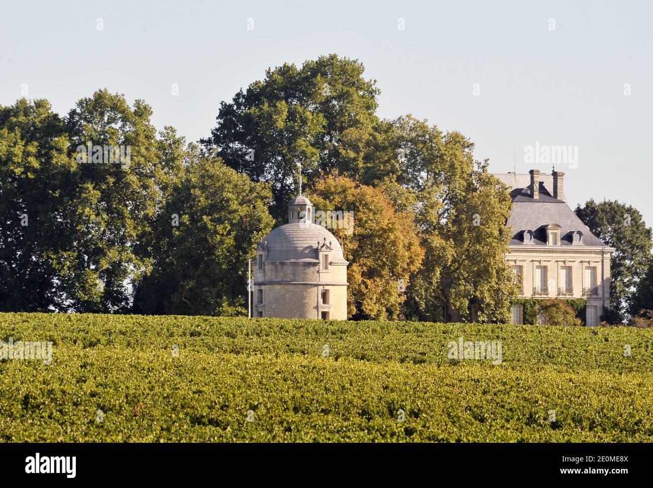 Château Latour, o mais potente dos Premiers Grands Crus de Bordeaux