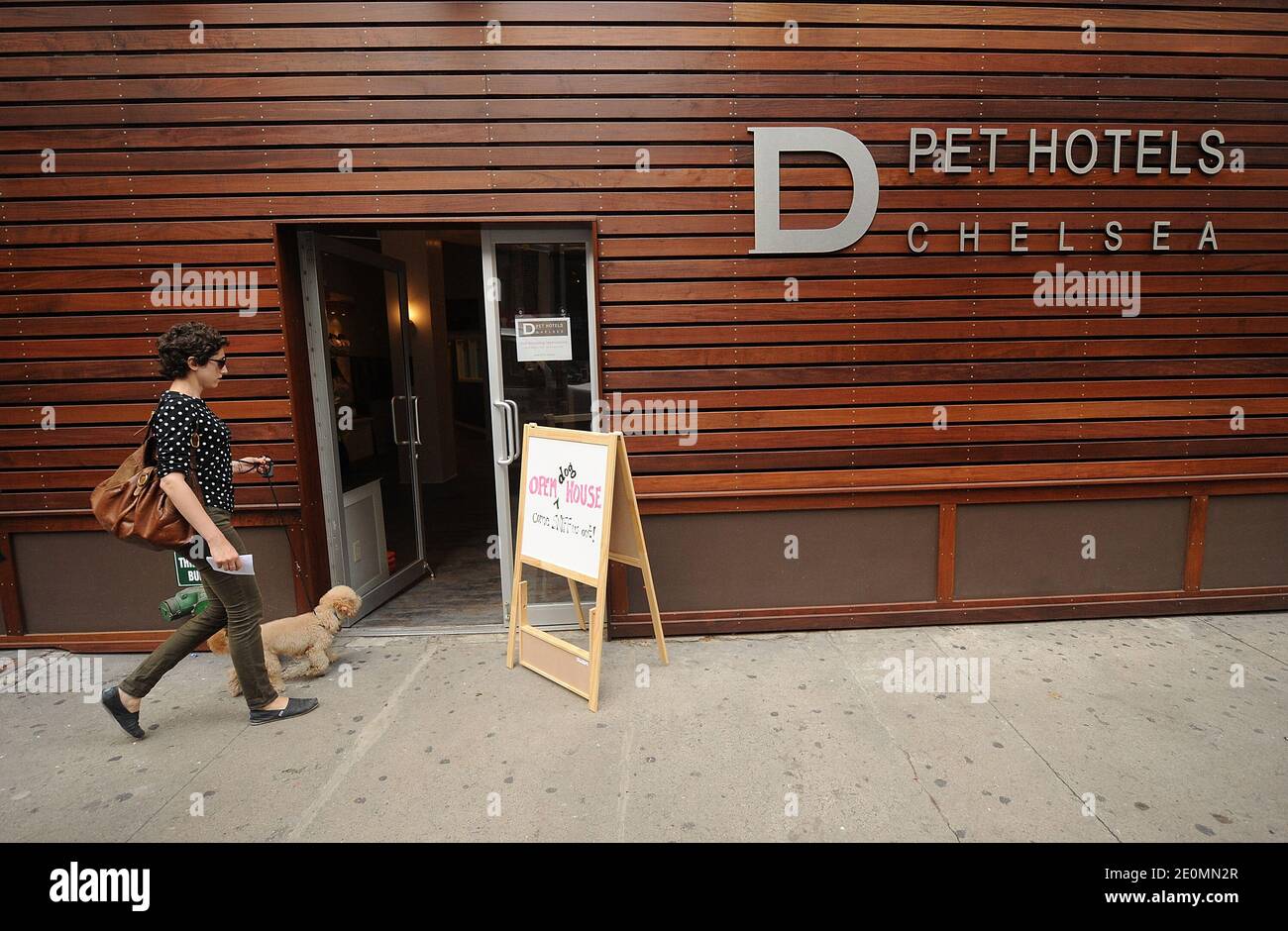 Luxury hotel for dogs hires stock photography and images Alamy