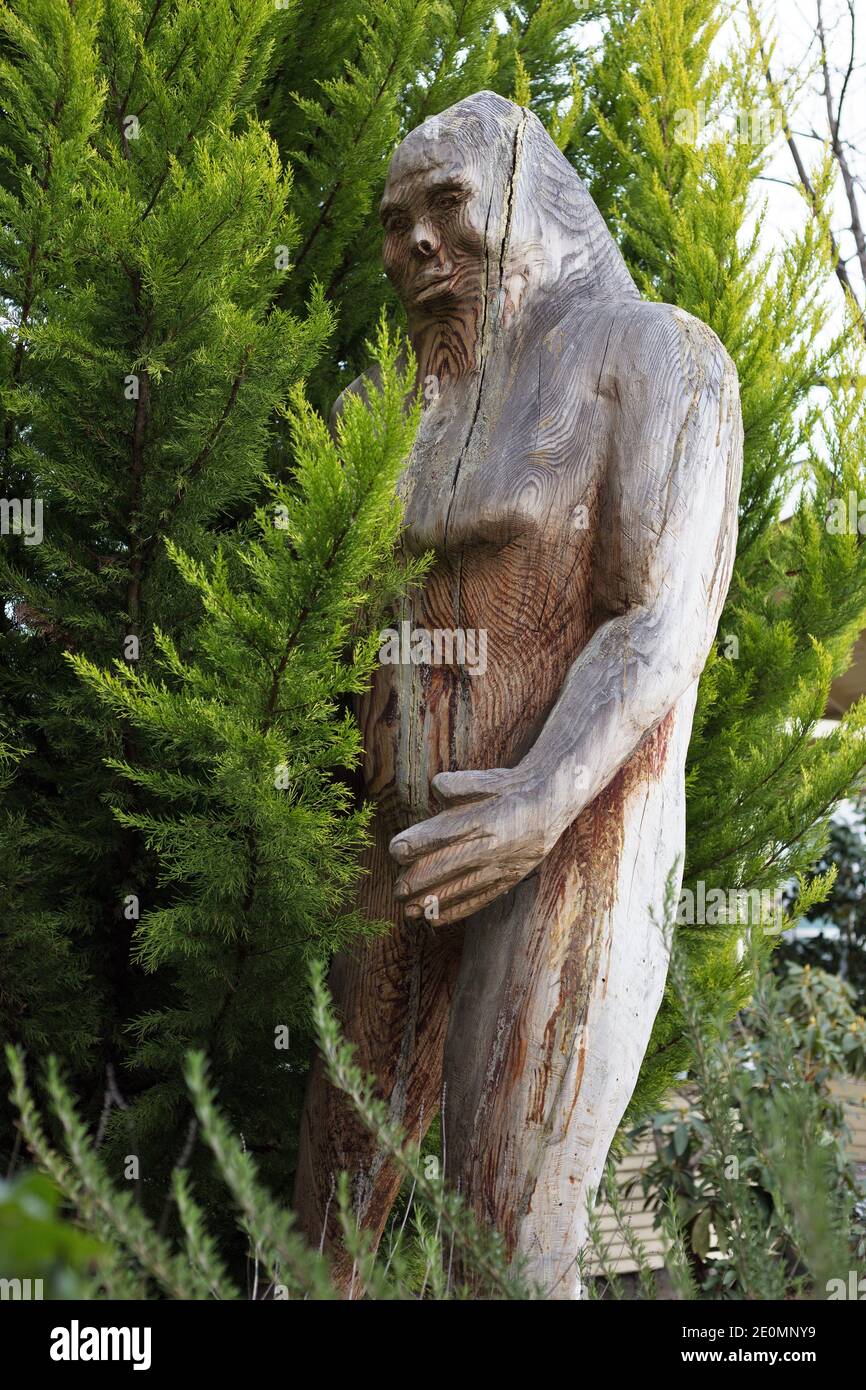 A bigfoot statue named "Juanita" carved from a fir tree stump, on the