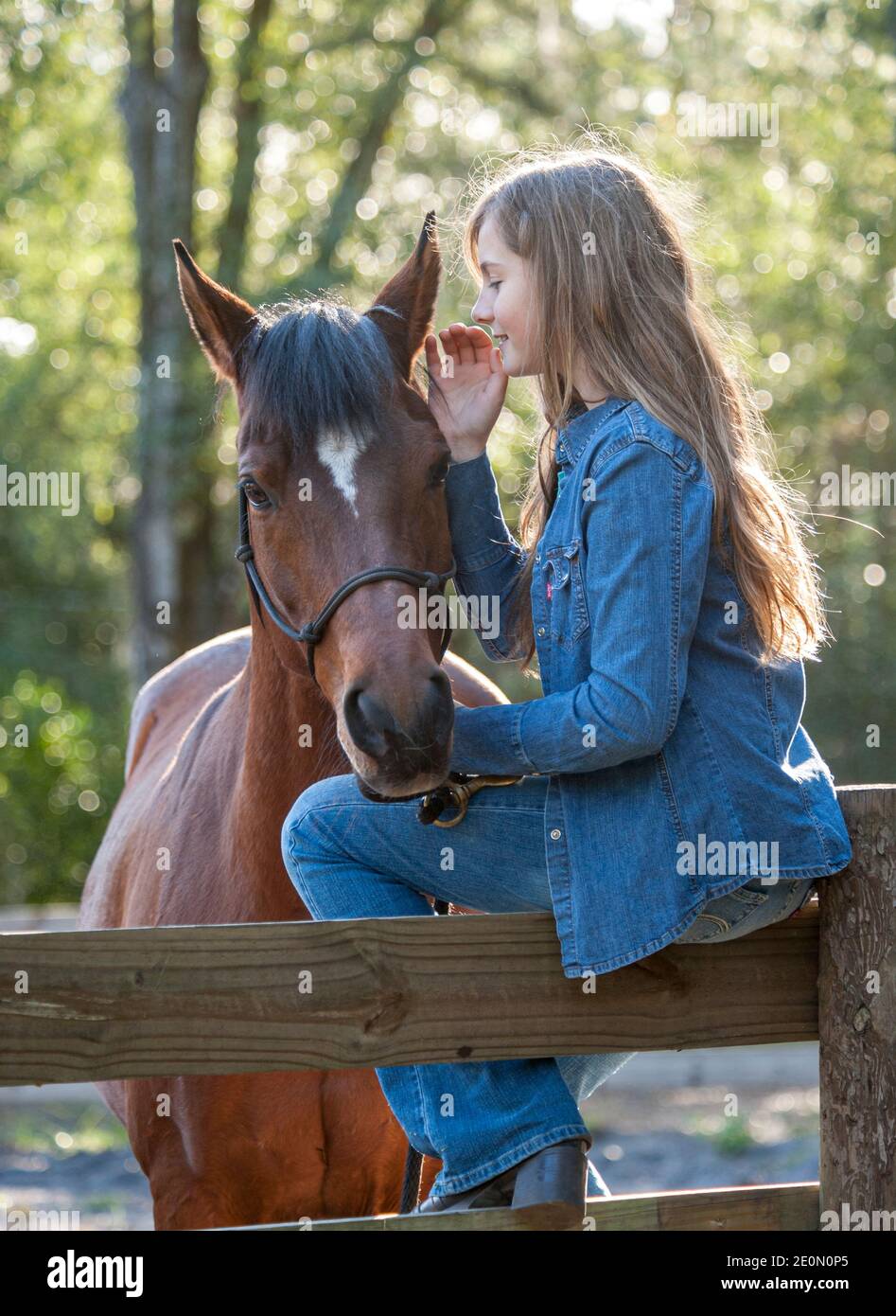 11 year old girl bonding with Arabian horse  mare. Stock Photo