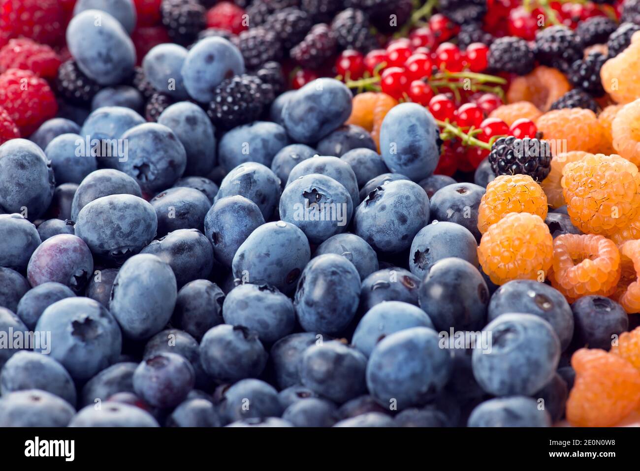 Berries close up shot hi-res stock photography and images - Alamy