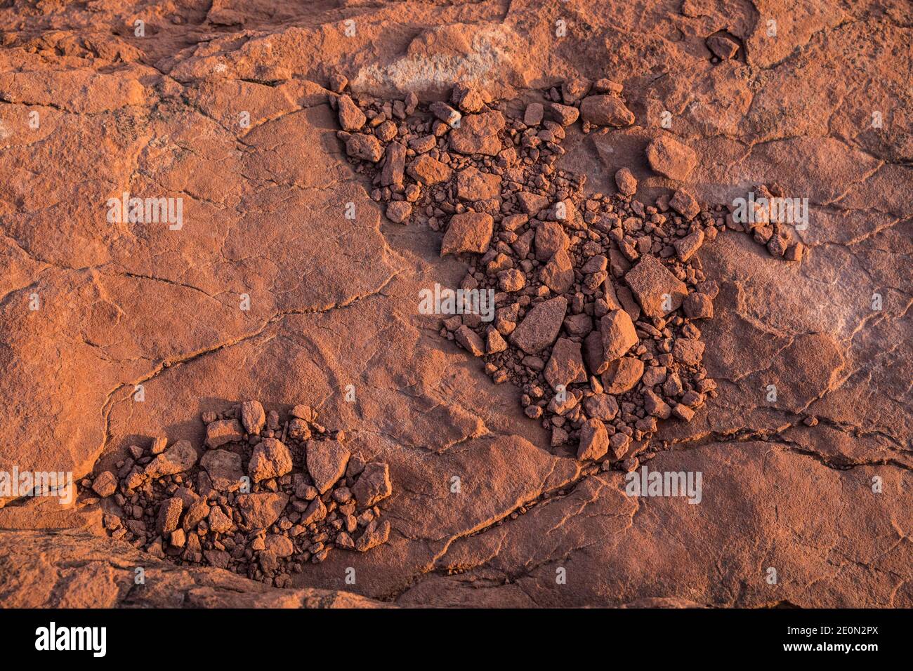 Sanstone texture detail. Canyonlands National Park, Utah, USA. Stock Photo
