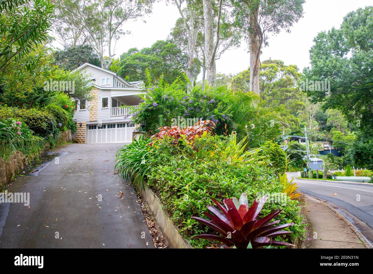 Australian Sydney garden at a private home house in Clareville a suburb