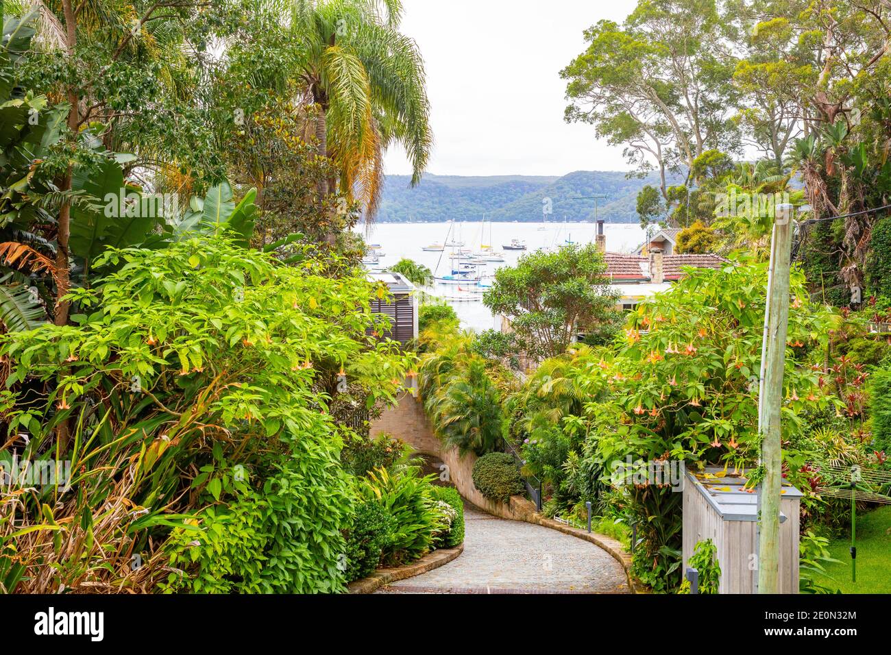 Typical Sydney northern beaches style garden with native plants and