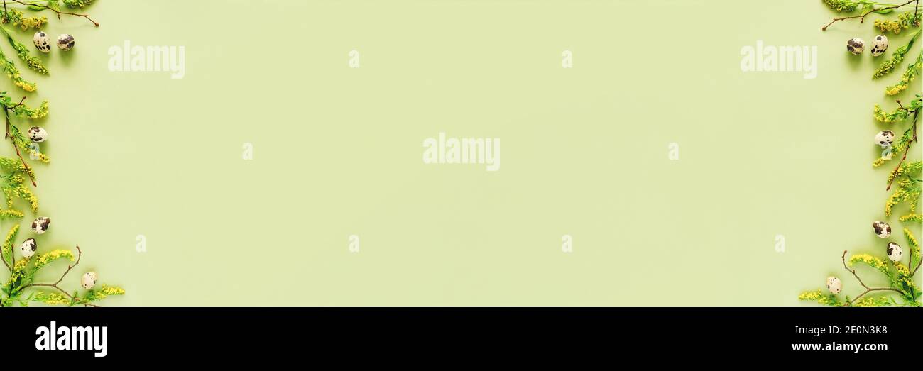 Spring easter floral banner. Natural tree branches, yellow flowers and various eggs on green background with copy space. Creative Flat lay Top view Te Stock Photo