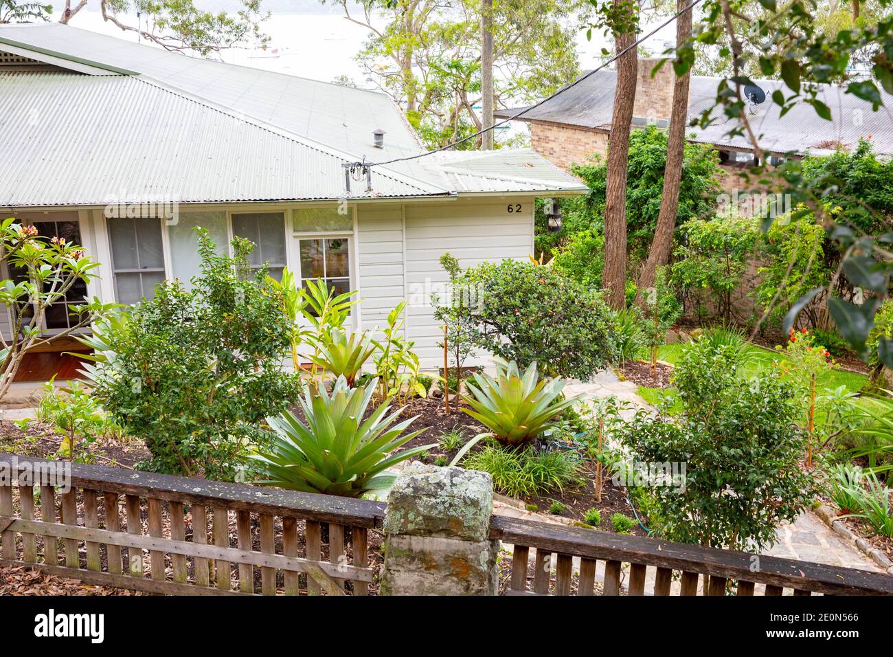 Typical Sydney northern beaches style garden with native plants and