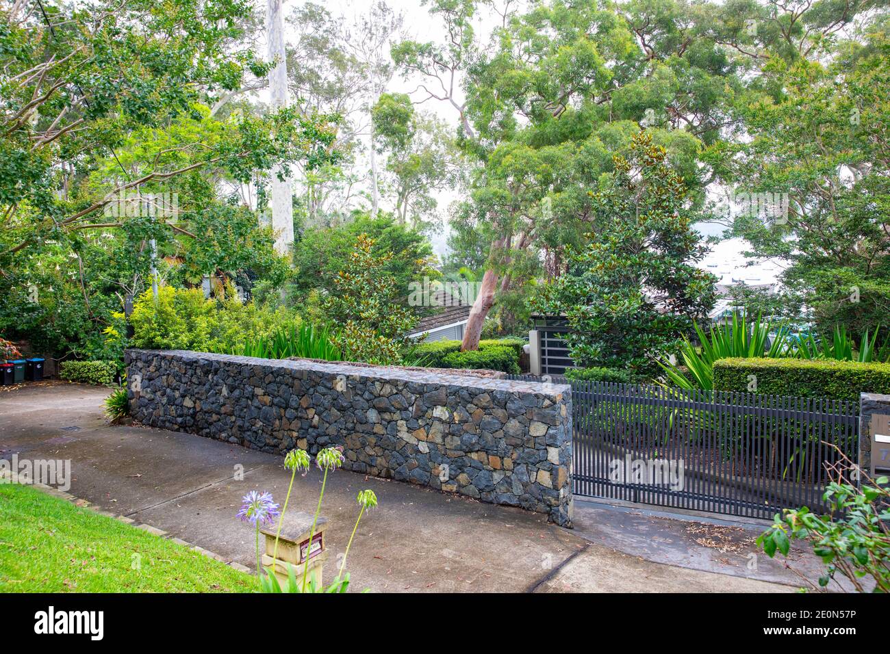 Typical Sydney northern beaches style garden with native plants and