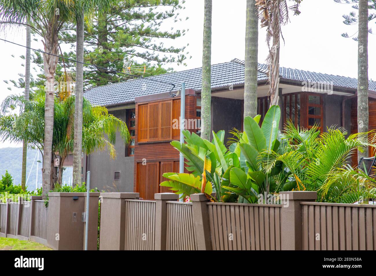 Typical Sydney northern beaches style garden with native plants and