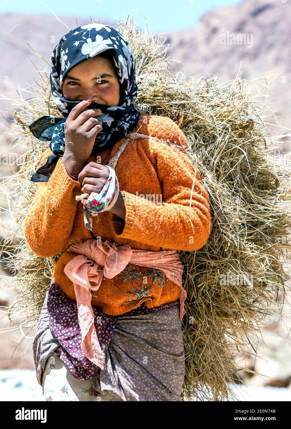 A Moroccan girl carrying a load of hay in the Todra Gorge at Tinerhir in Morocco. Todra Gorge is a canyon in the eastern High Atlas Mountains. Stock Photo