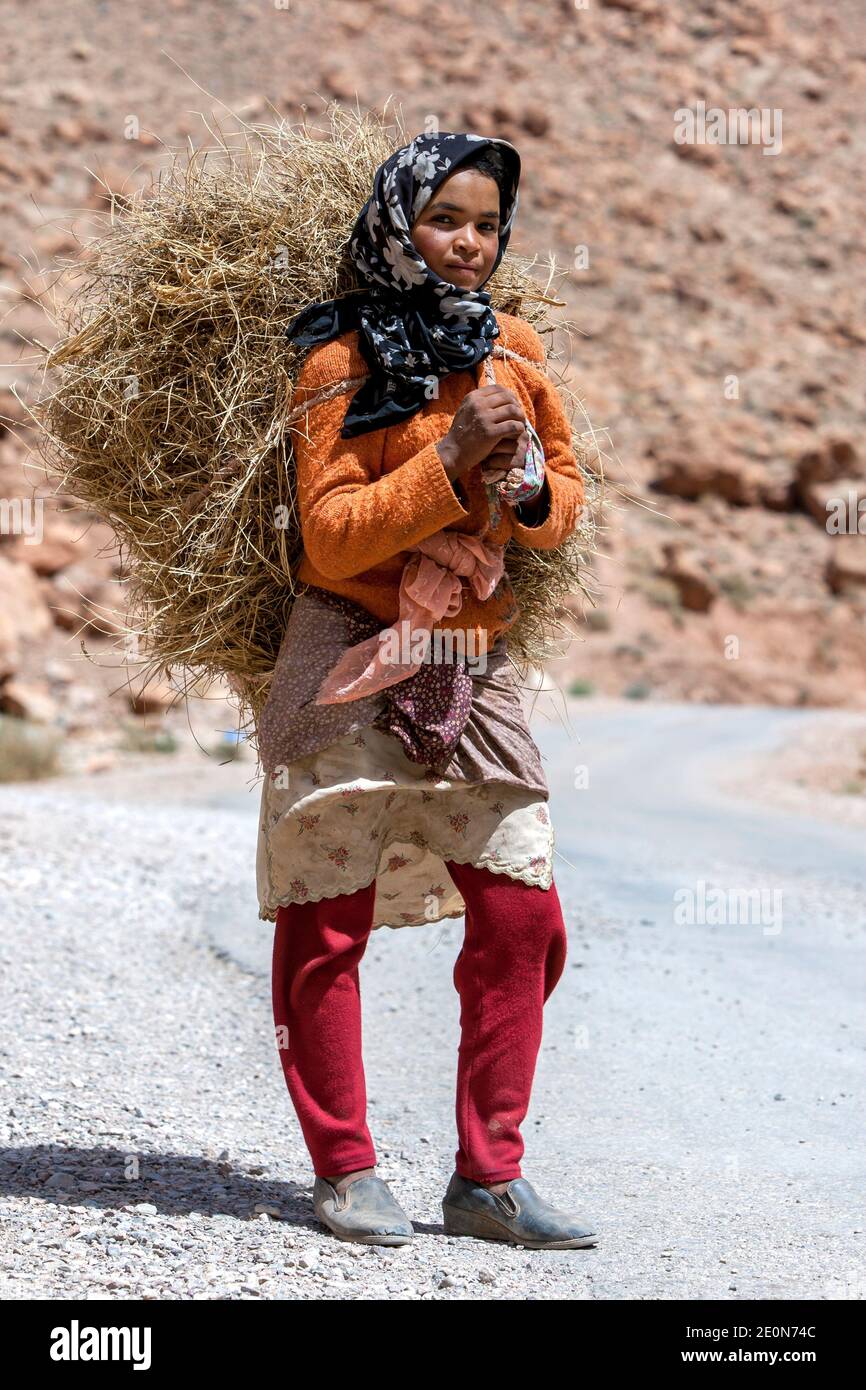 A Moroccan girl carrying a load of hay in the Todra Gorge at Tinerhir in Morocco. Todra Gorge is a canyon in the eastern High Atlas Mountains. Stock Photo