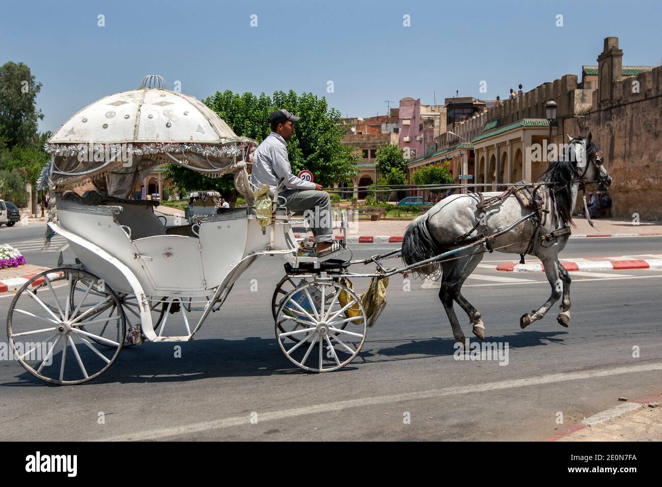 A horse and buggy ride through the streets of Meknes in Morocco looking for customers. Meknes is named after a Berber tribe which was known as Miknasa Stock Photo