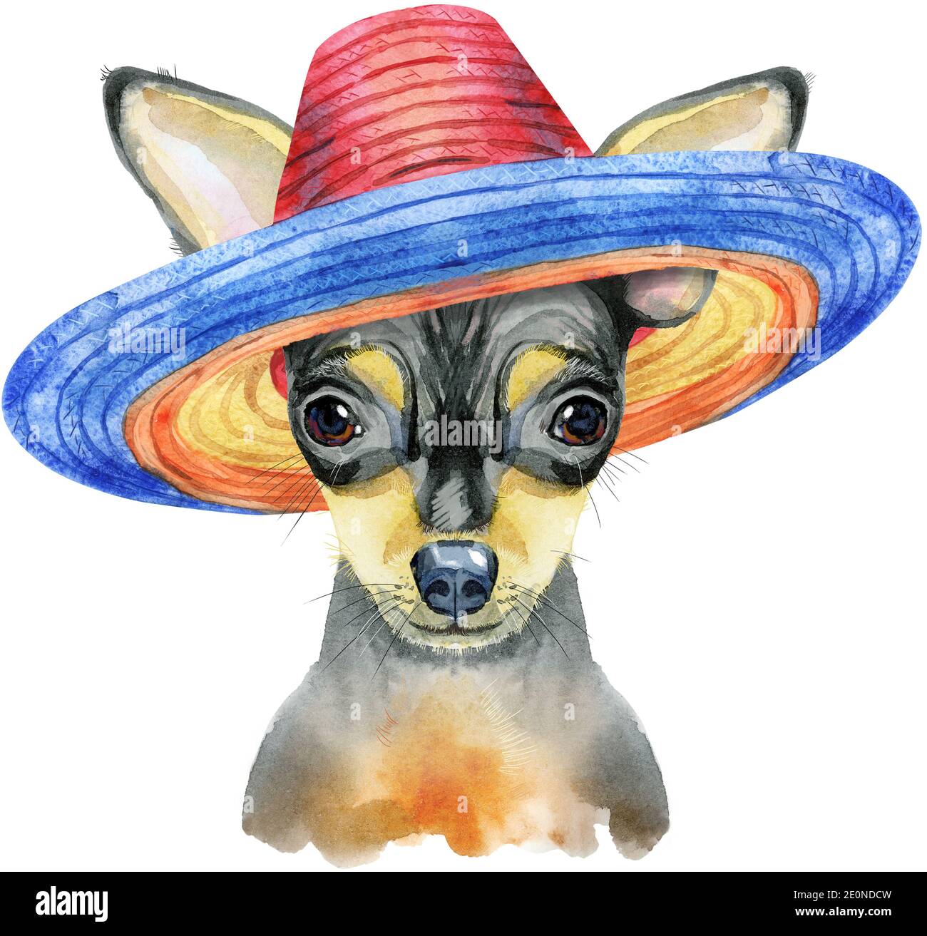 Cute Dog in mexican hat. Dog T-shirt 