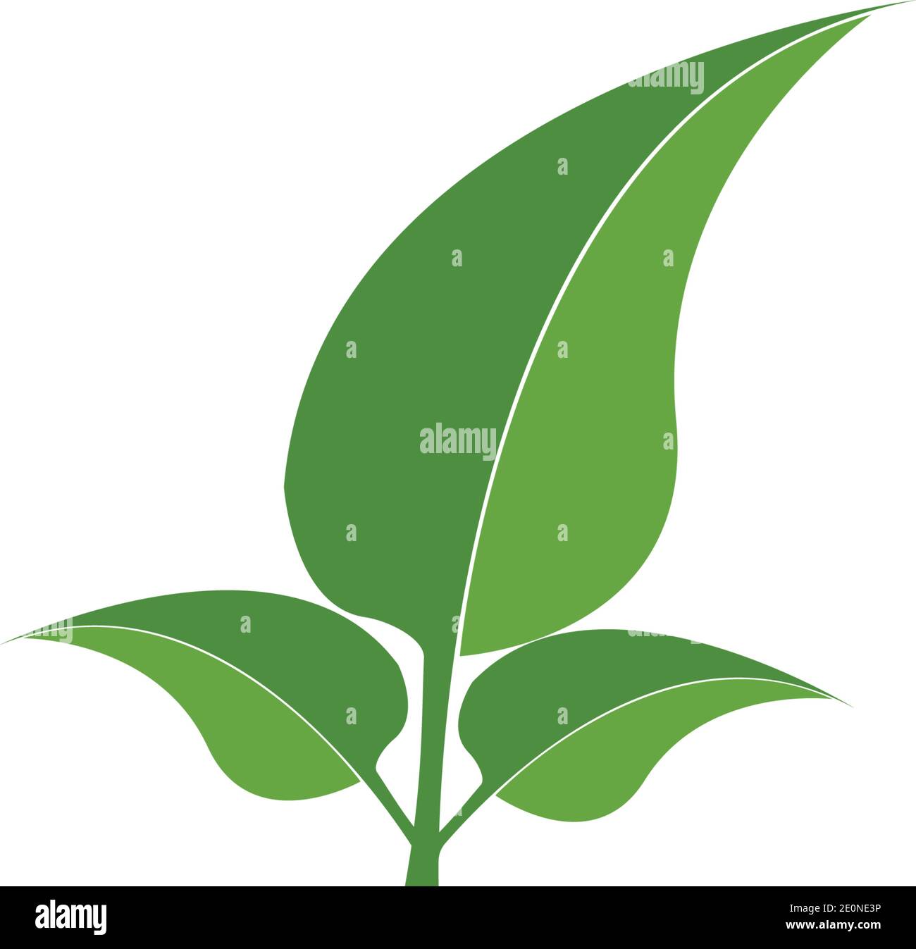 Logos of green Tree leaf ecology nature element vector Stock Vector ...