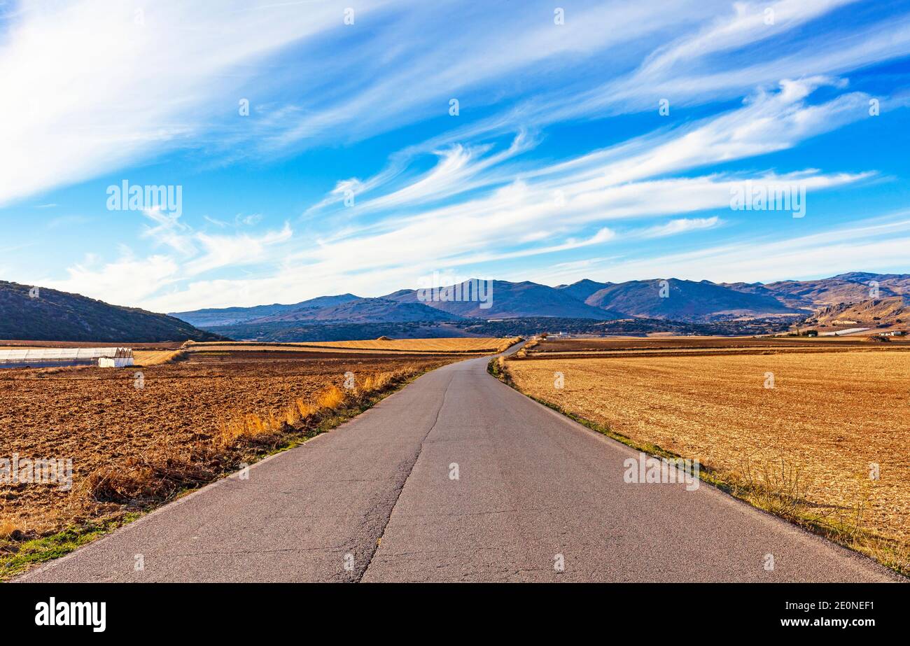 A straight road running through the fertile plains near Zaffaraya, towards to Sierra de Loja mountains, Province of Granada,  Spain. Stock Photo