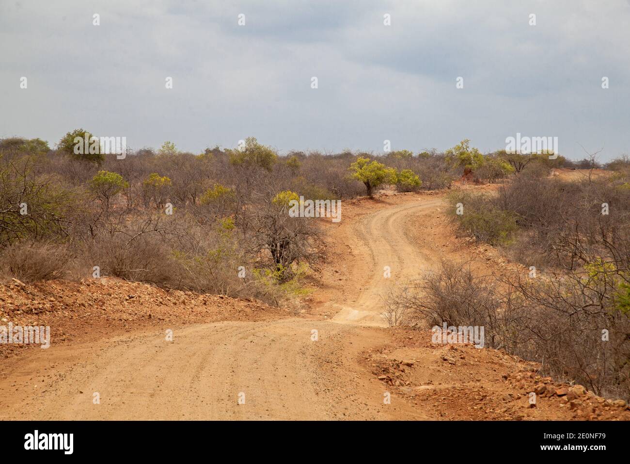 Way in the scenery of Kenya. Stock Photo