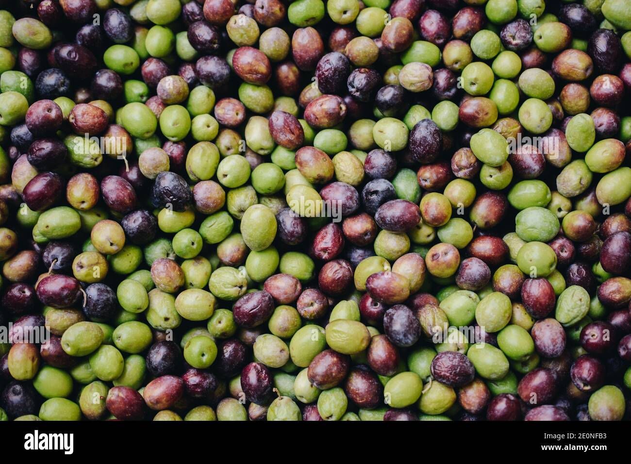 Newly picked olives as health food in the market Stock Photo Alamy