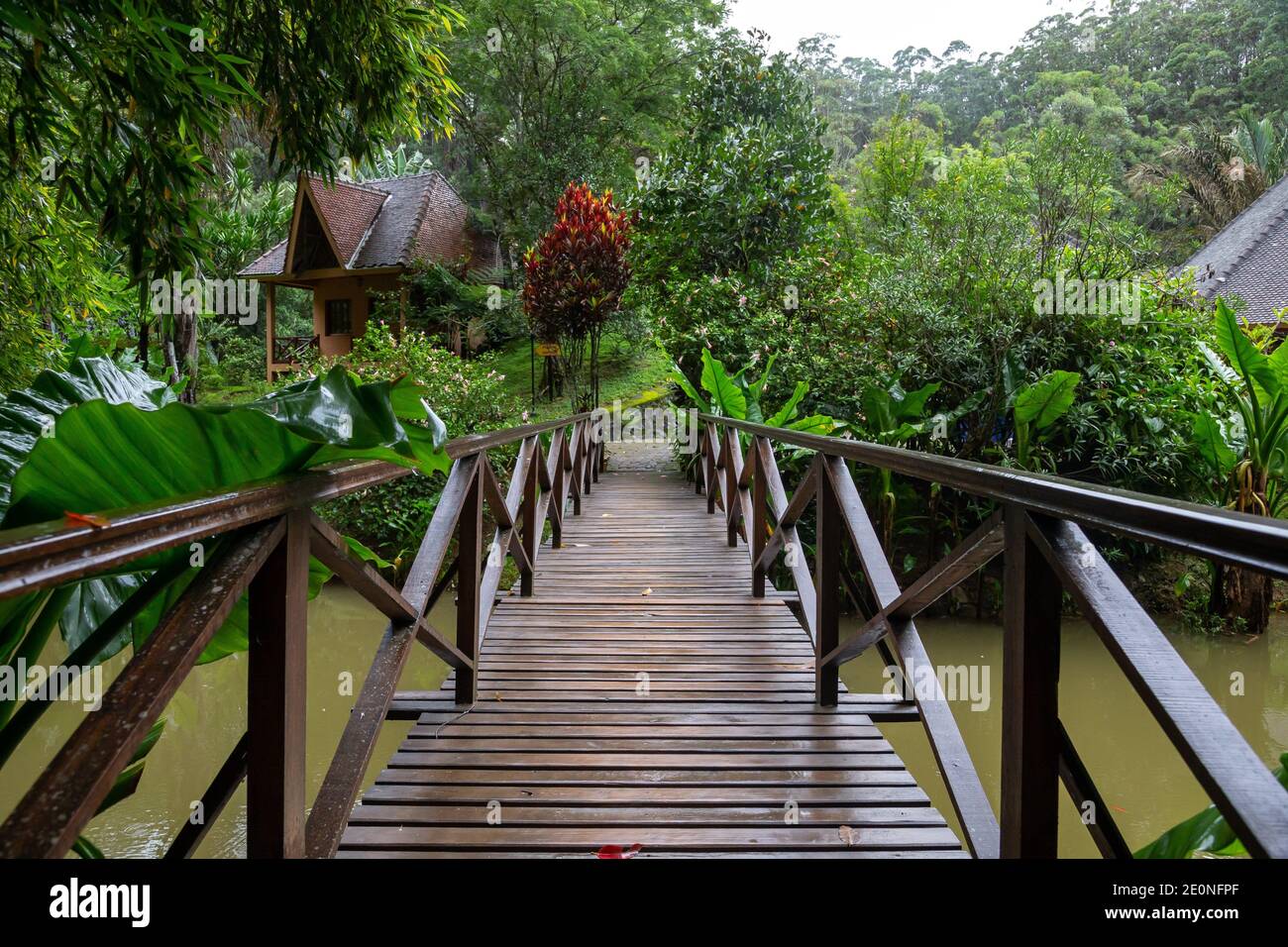 One small wooden bridge over a small river in a rainforest in Madagascar. Stock Photo
