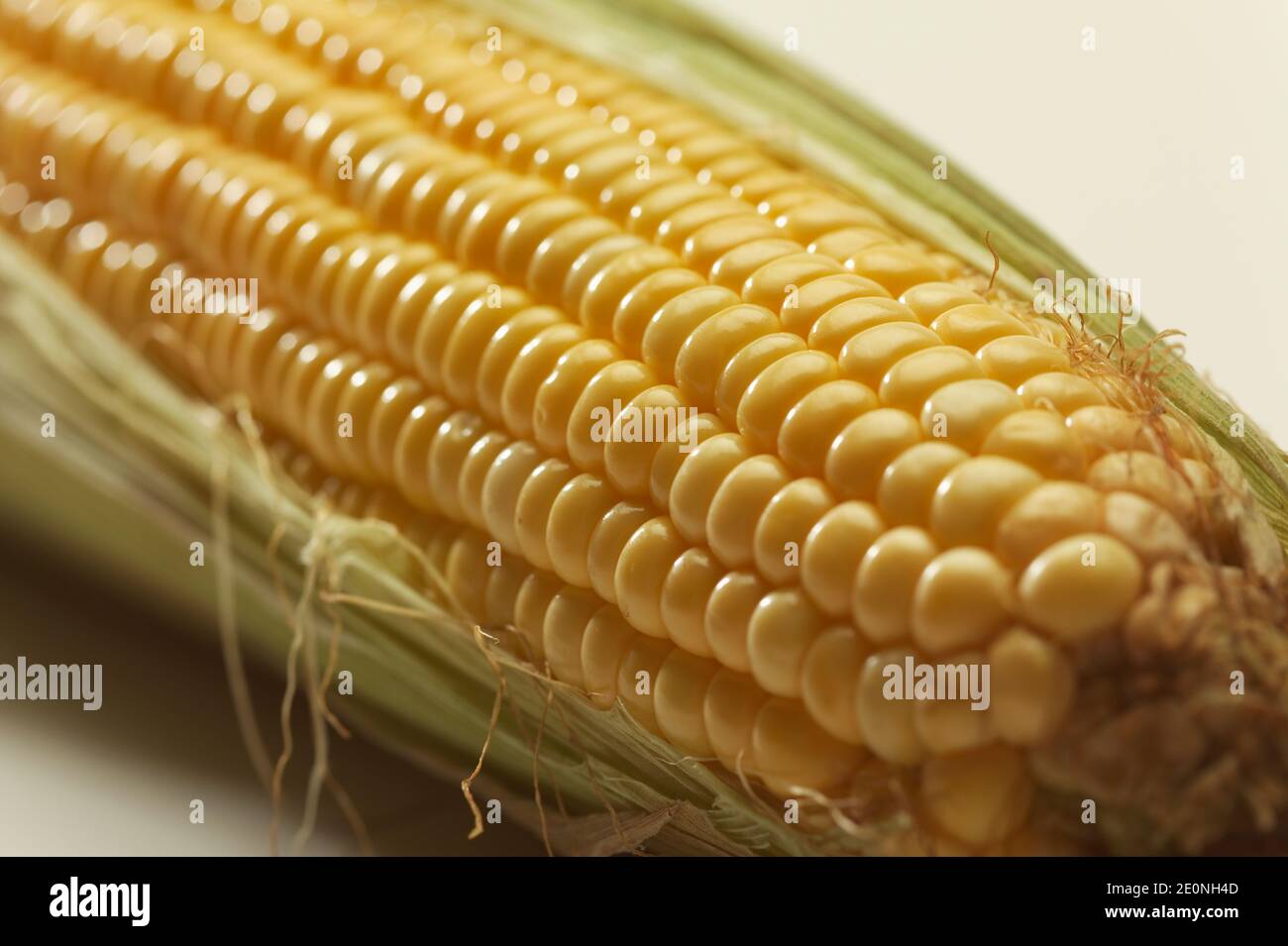 Corn cob on white background Stock Photo - Alamy
