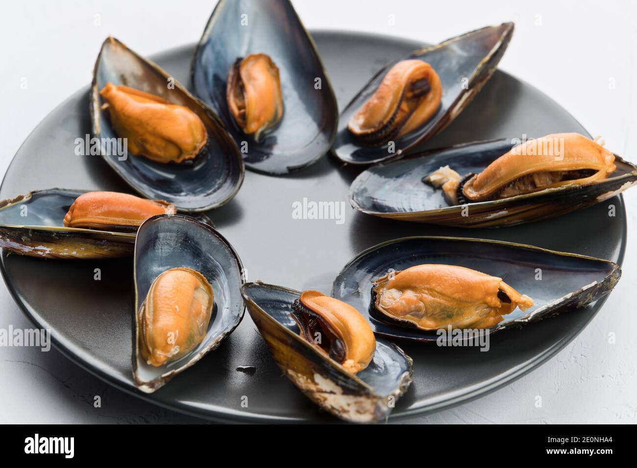 Mussels are a family of bivalve mollusks of great economic and