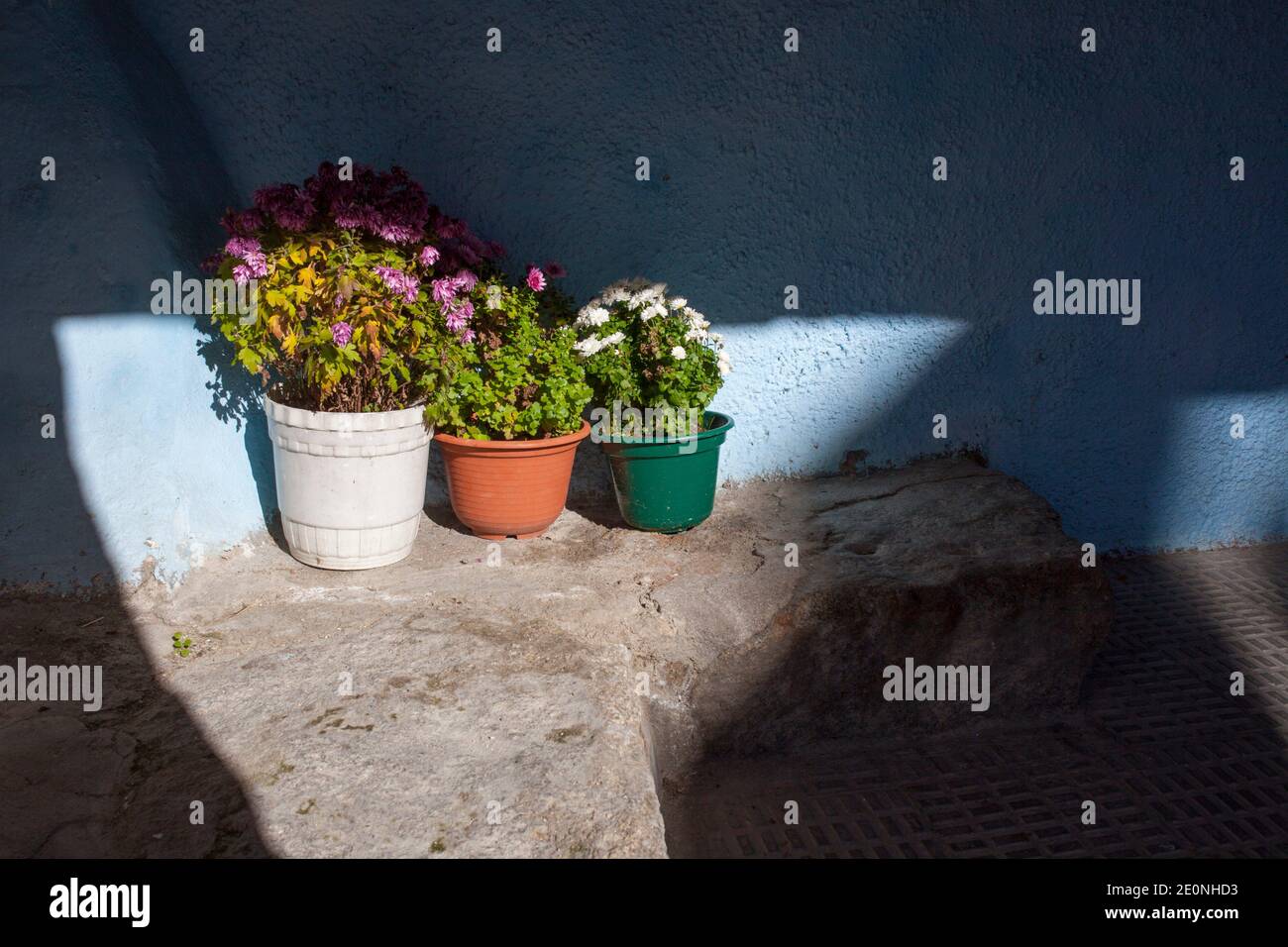 Flowerpots beside the entry of traditional house of La Garganta village, Ambroz Valley, Caceres, Extremadura, Spain. Stock Photo