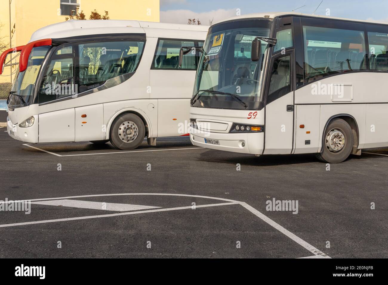 Are Dogs Allowed On Buses In Spain