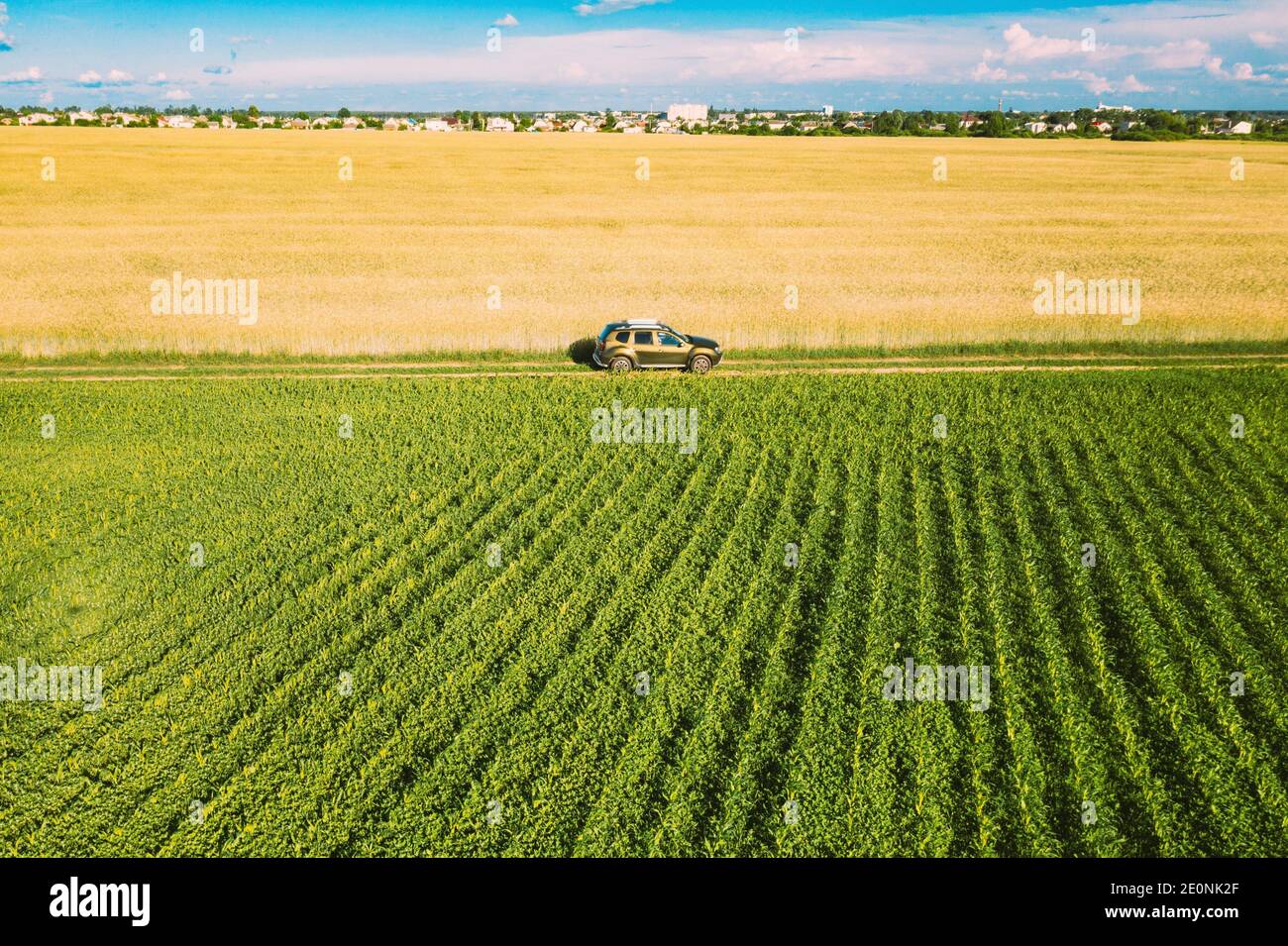 Russia field aerial corn hi-res stock photography and images - Alamy