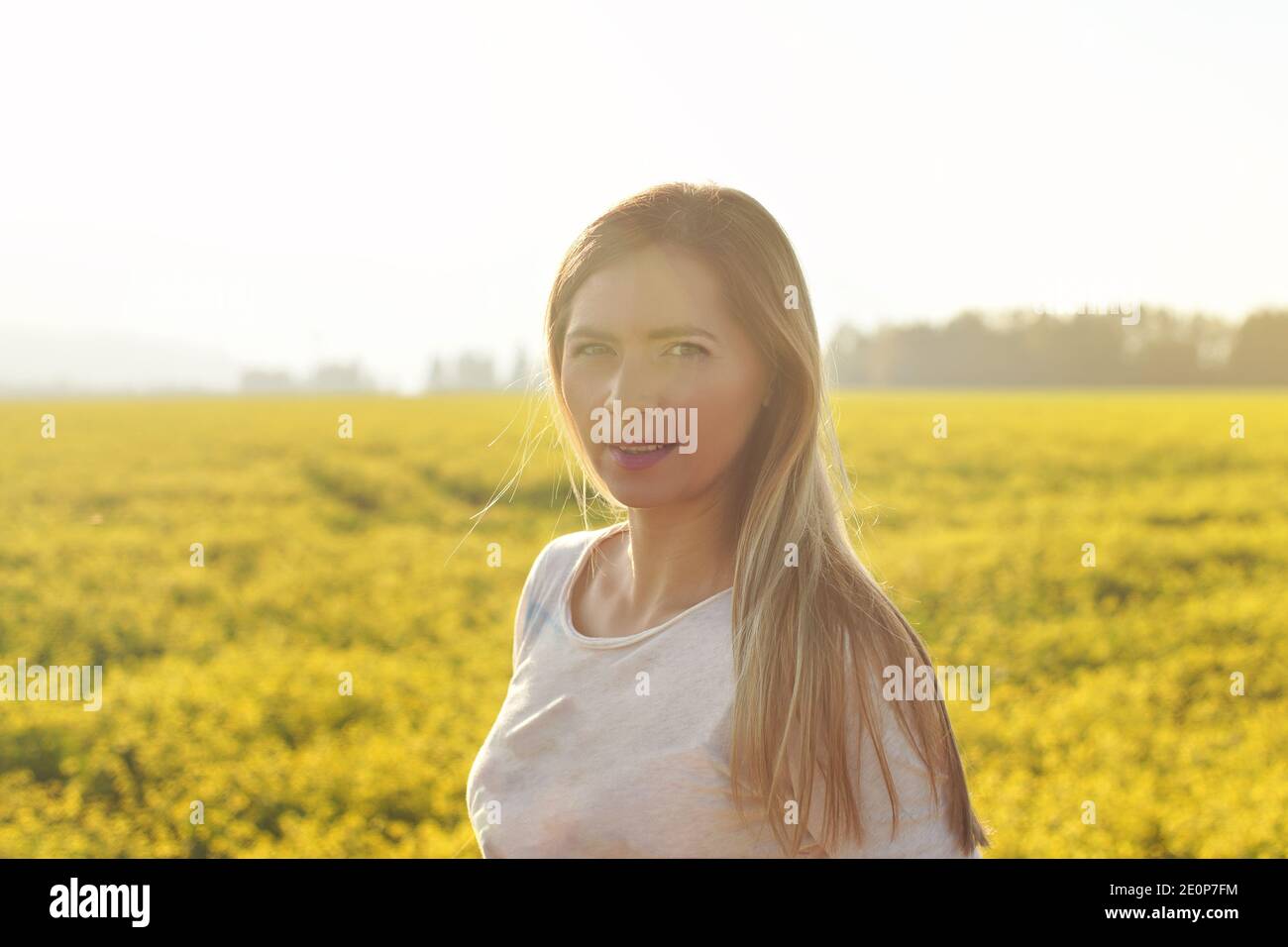 Portrait of young woman with long hair in strong afternoon backlight sun, blurred field with yellow flowers background Stock Photo