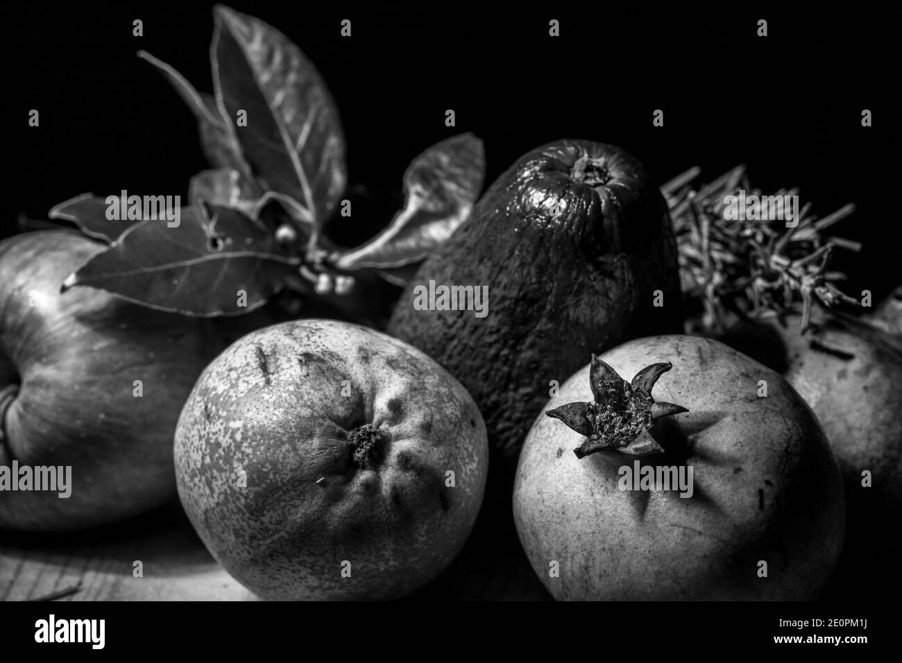 Pomegranate, pear, apple, avocado, rosemary and bay leaf. Stock Photo