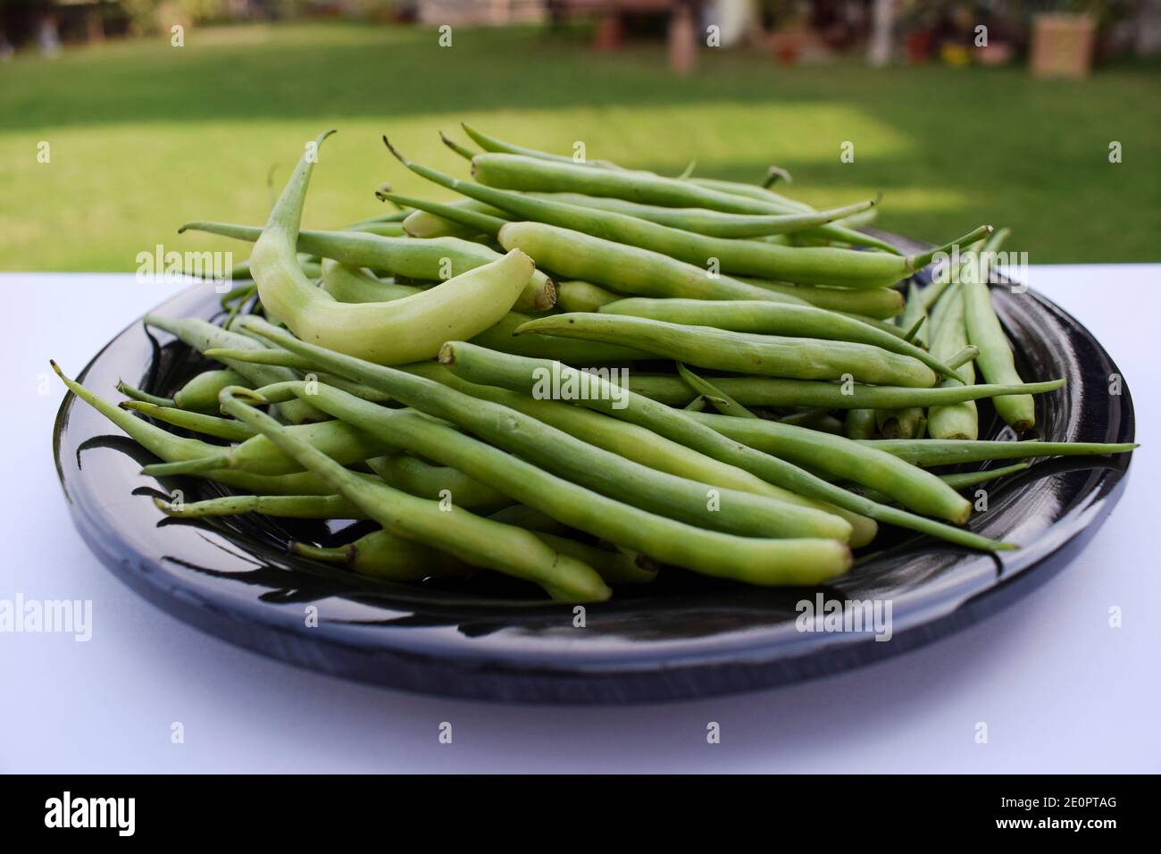 Mongray Radish pods also known as moongra which are basically radish flowers or ...