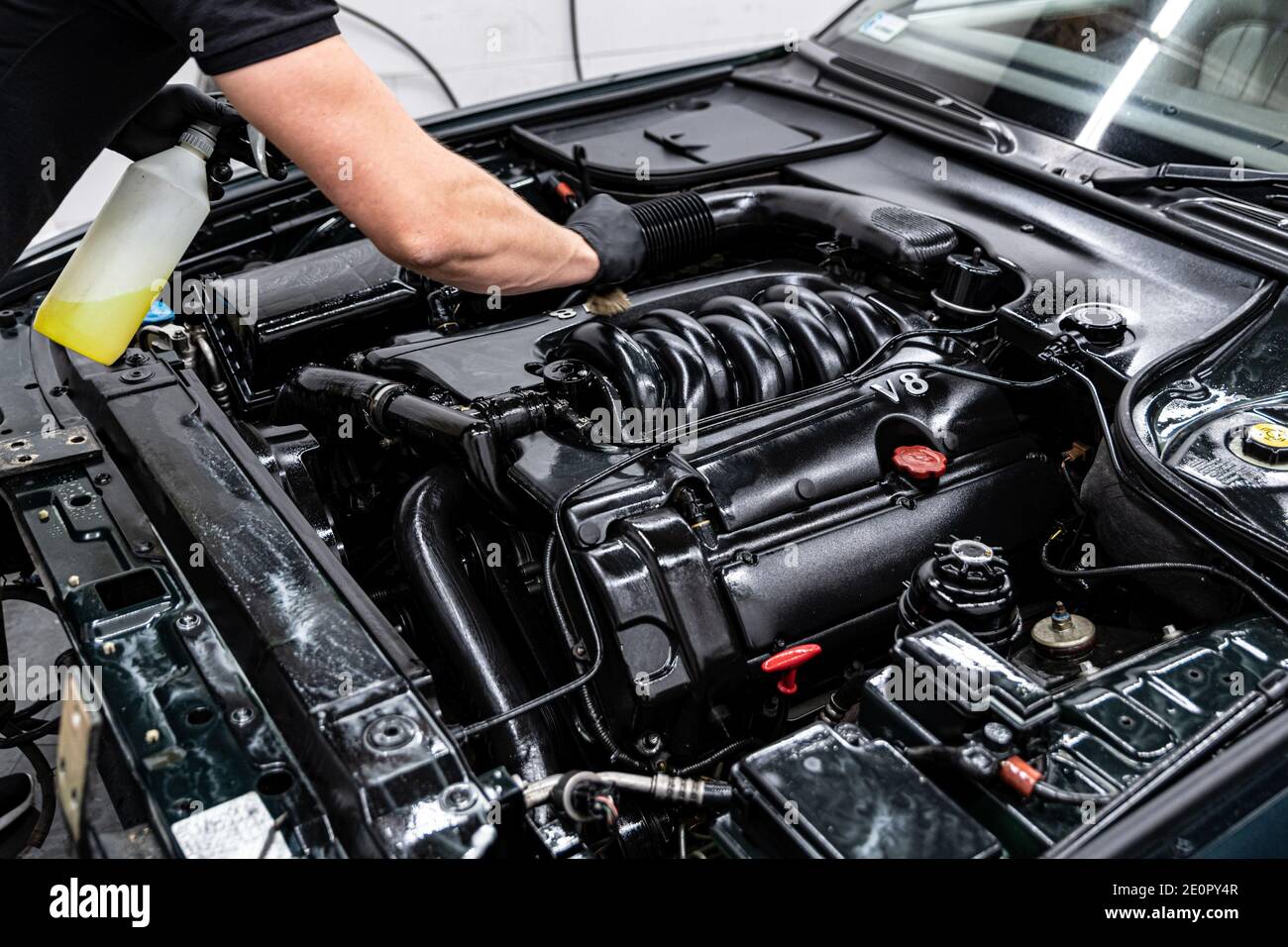 Car wash worker carefully cleaning car engine Stock Photo Alamy