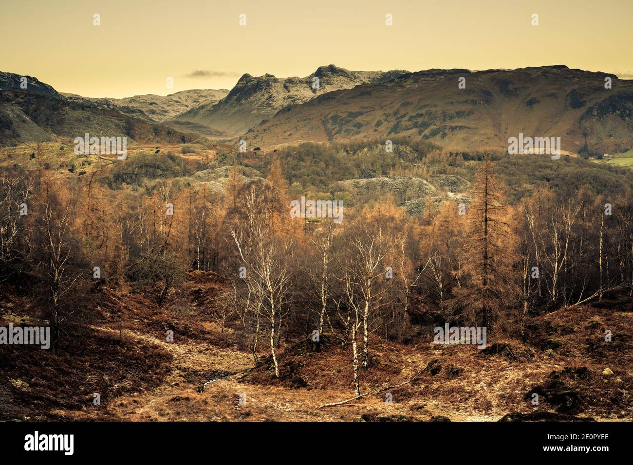 Holme Fell and Langdale, Lake District Stock Photo