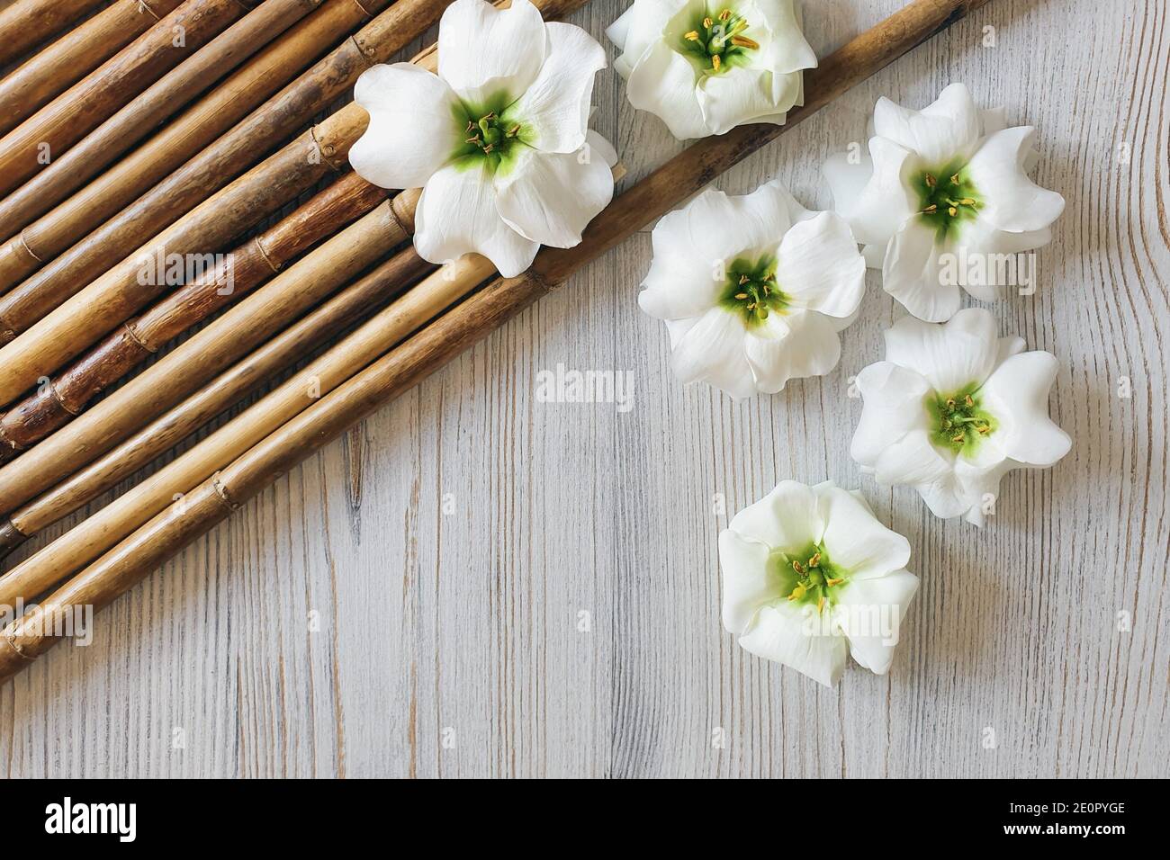 Bamboo flower hires stock photography and images Alamy