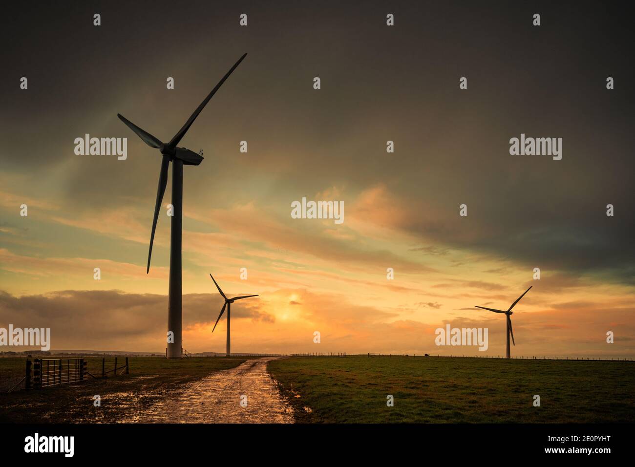 Wind Turbines at Sunset, Renewable Energy Stock Photo