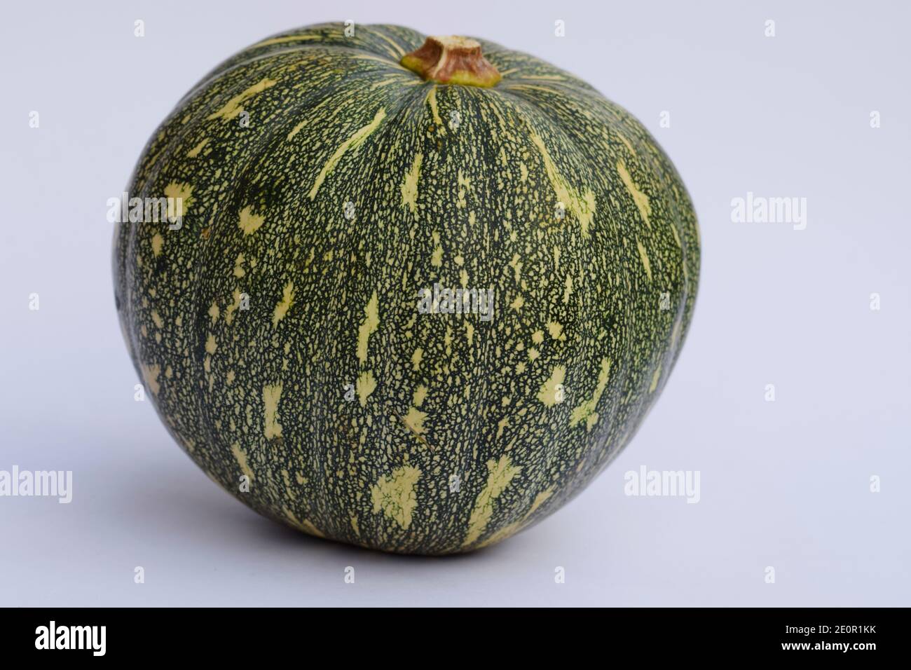 Pumpkin Raw Indan fruit also used as vegetable for lunch dinner curry preparation. . Green round pumpkin had yellow pulp inside. Indian fruit flowerin Stock Photo