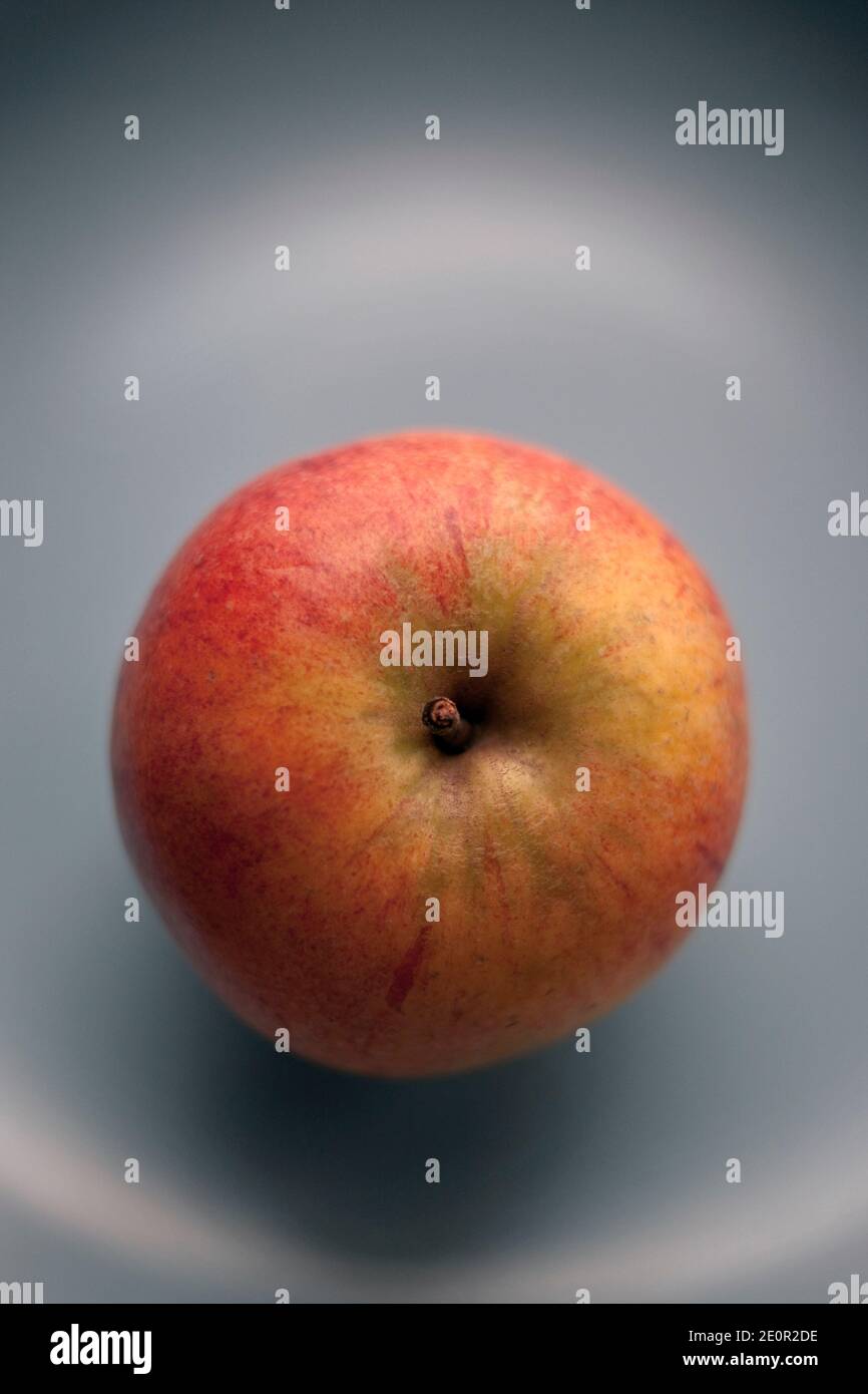 A Single Cox Apple On A Grey Plate Stock Photo