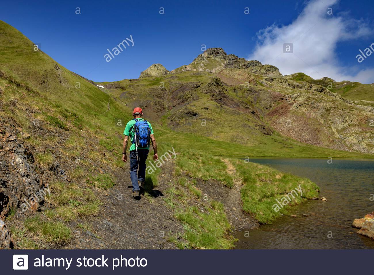 Cami Lake High Resolution Stock Photography And Images Alamy