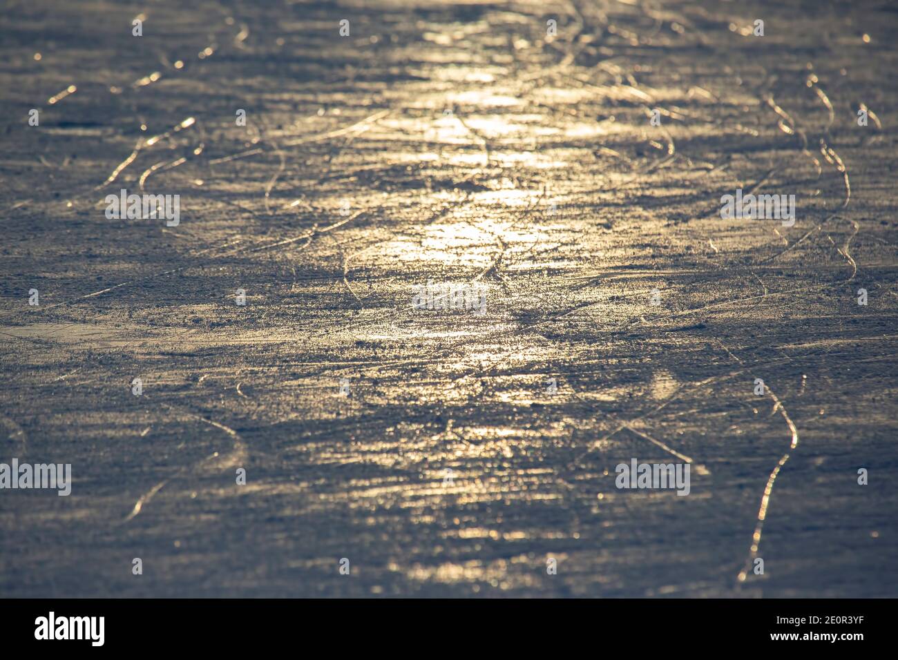 bright traces of ice skating on an ice rink. background and texture. reflection in the sunlight Stock Photo
